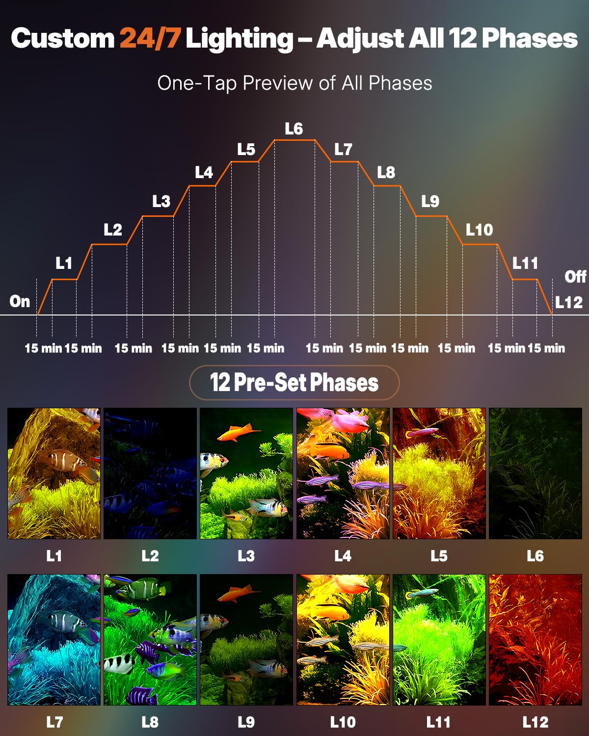 Aquarium Led Verlichting Dag Een Nacht