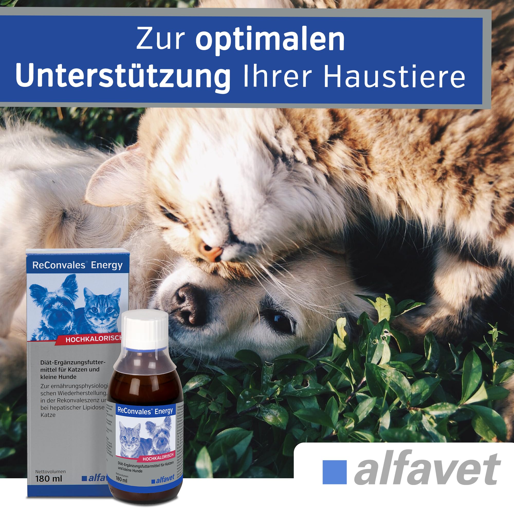 alfavet ReConvales Energy 180 ml