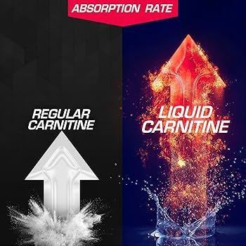 L-CARNITINE 180錠×28個 L-Carnitine