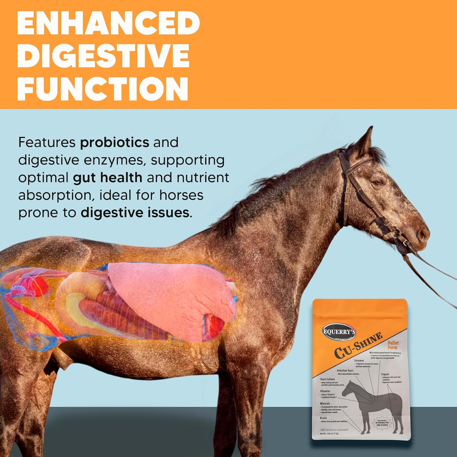 Equerry's Cu-Shine Total Horse Health Pellet Supplement, Horse Probiotics, Biotin for Radiant Coat, Digestive Supplements for Constipation and Gut Health - 5LB