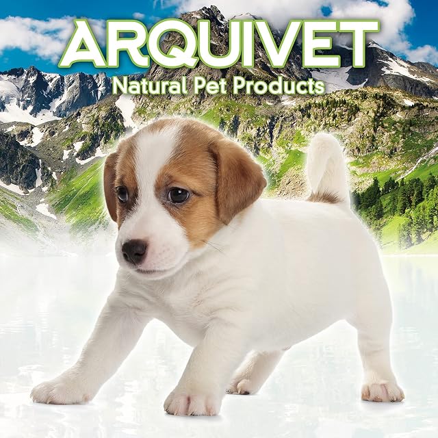 Foto 4 de 5 de Arquivet Pelota Goma Maciza 9 cm - Juguetes y Accesorios para Perros - Entretenimiento y Ejercicio canino