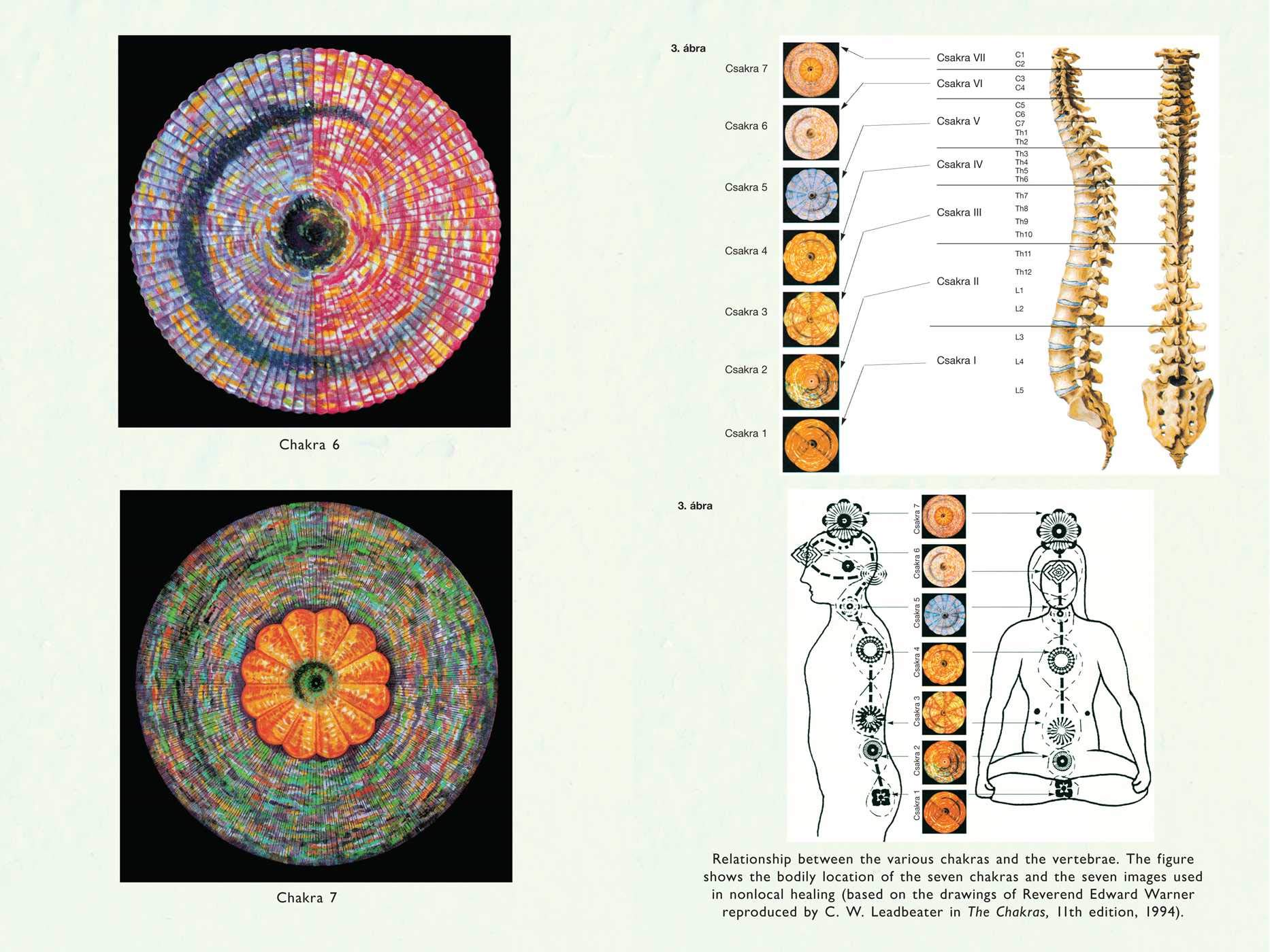 Remote Healing: Nonlocal Information Medicine and the Akashic Field