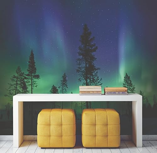 Miniatura 2 de Wall Rogues WR50512 Aurora BorealisNorthern Lights - Mural, multicolor