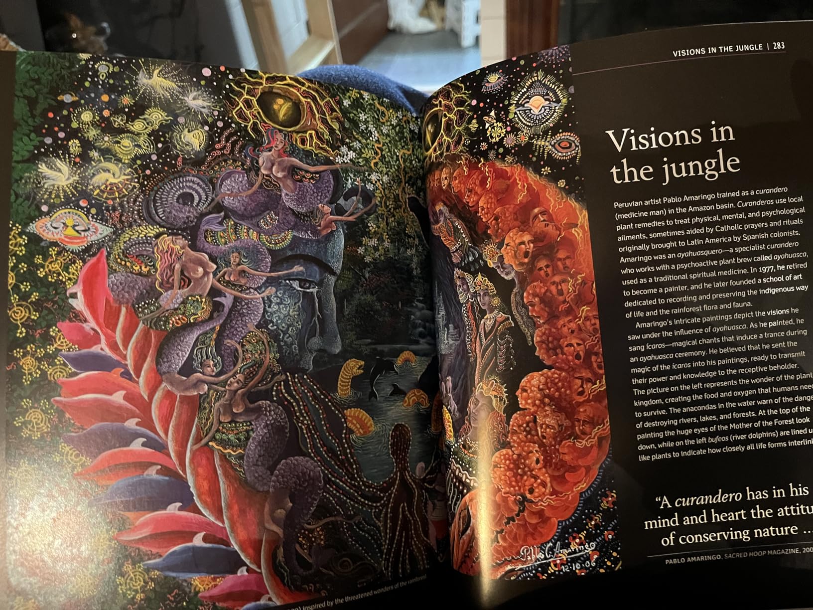 This book is fabulous