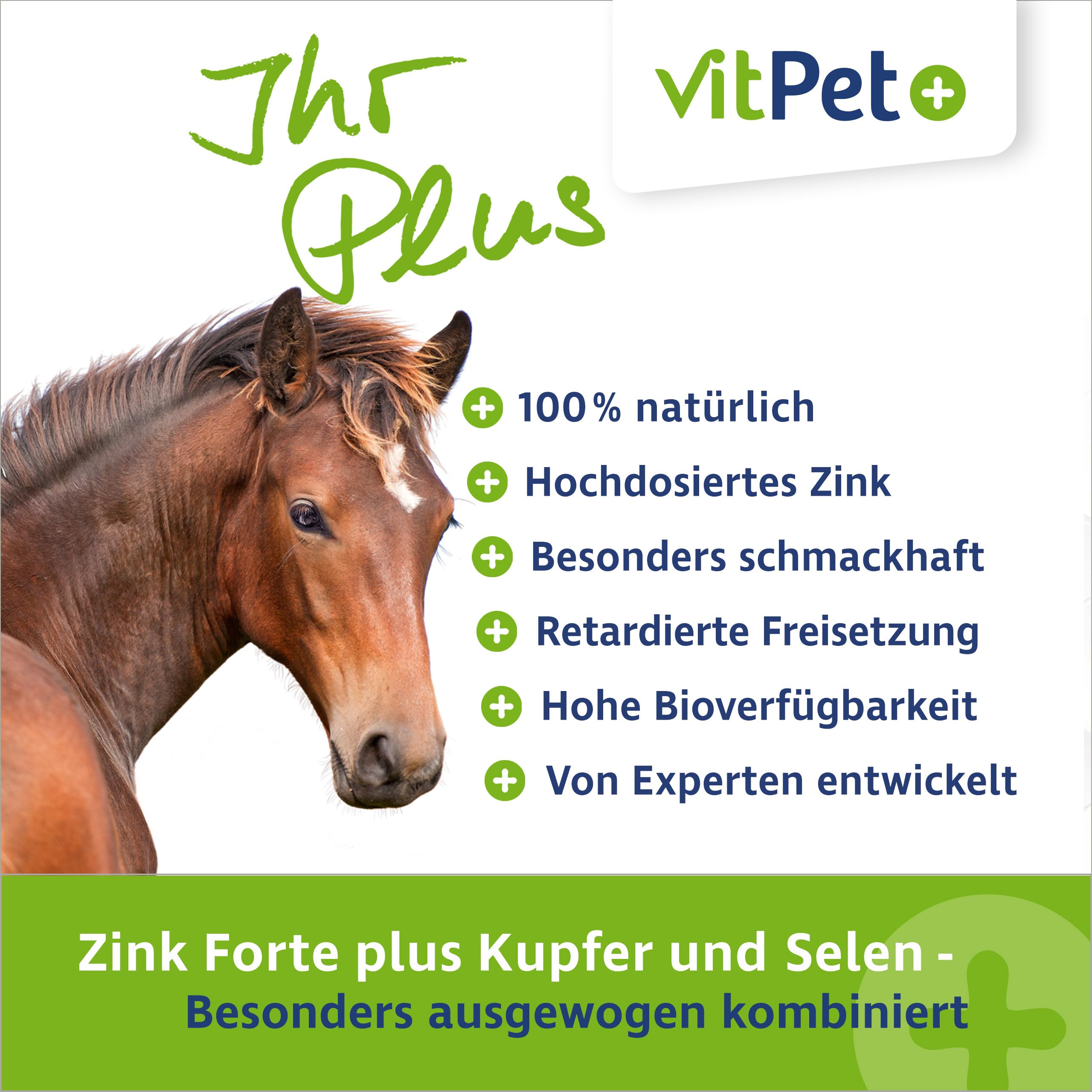 Zinc Forte Plus – Alta dosis de zinc para caballos – 1,8 kg – Alimento complementario Plus cobre y selenio – Para piel, pezuñas y sistema inmunológico – Incluye cuchara dosificadora