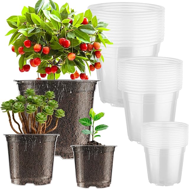 36 Emballage des pots de pépinières transparents 5/6/7inch Pots de plantes plastiques transparents avec trous de drainage, voir par planteur de semis pour planificateur de semences de démarrage