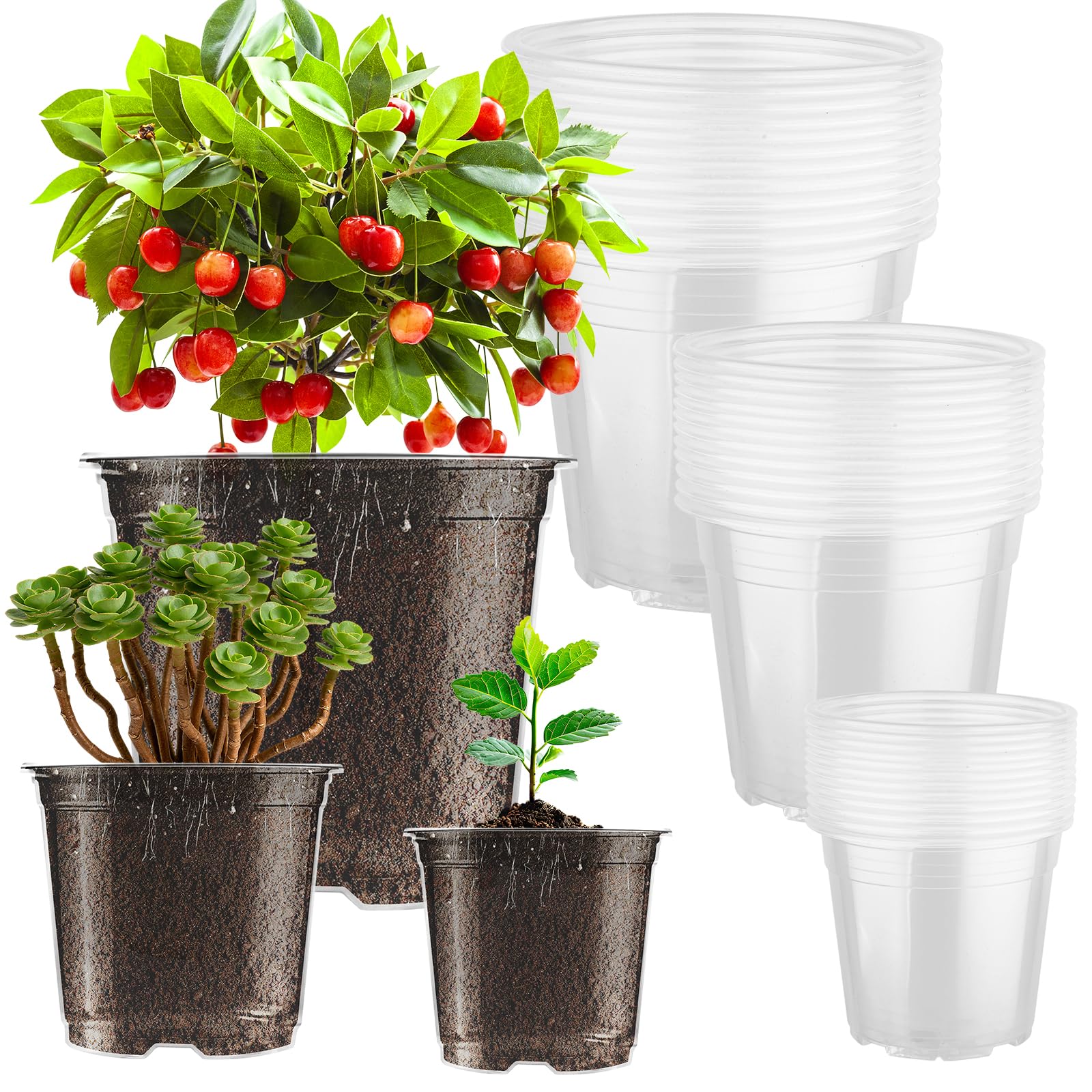 Pot de Fleurs Plastique Transparents, Pots Semis 13/15/18cm avec Trous de Drainage, pour Balcons Extérieur Bureaux Jardins (36 pièces)