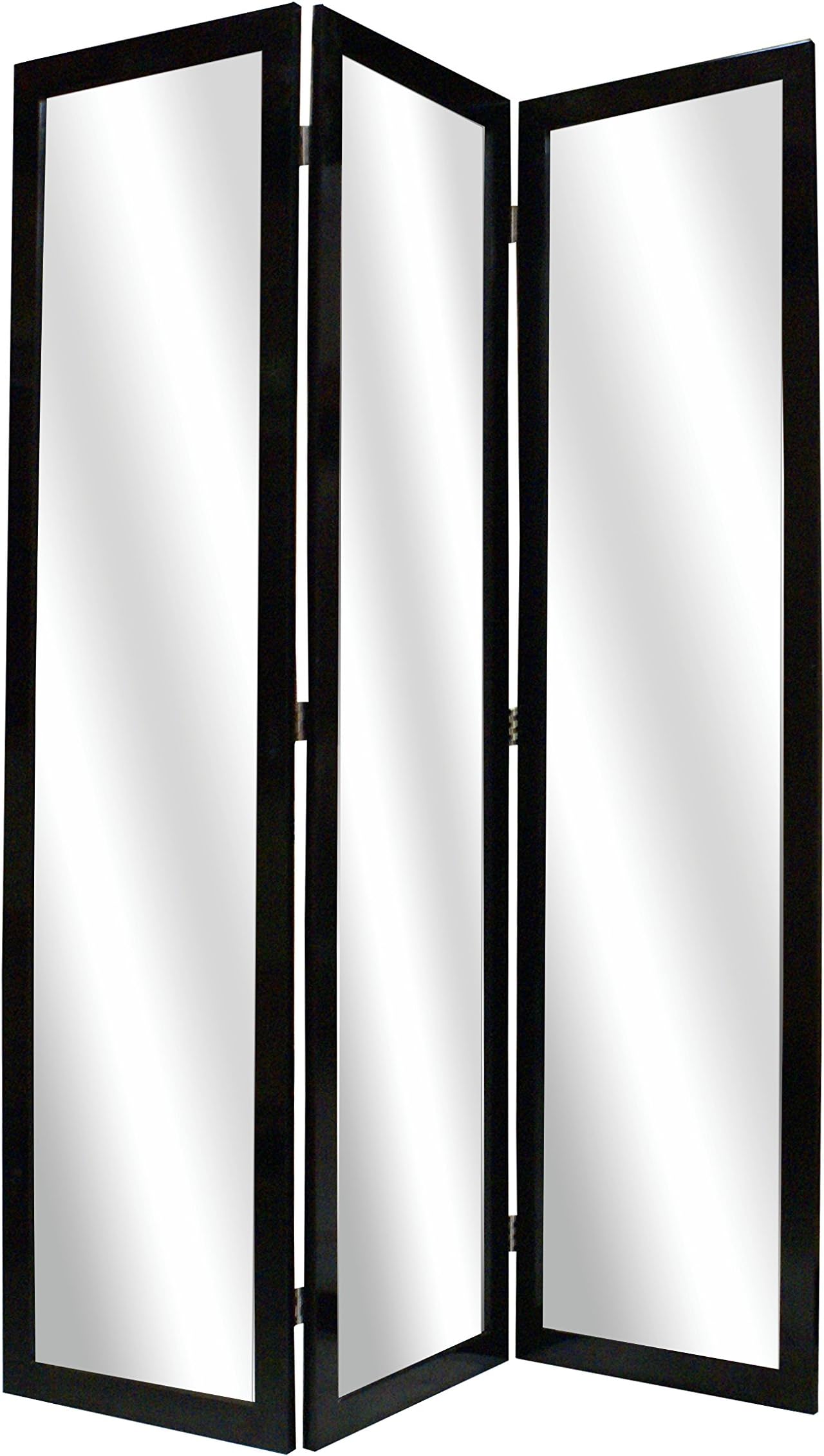 Screen Gems Room Divider, 50"Lx69"H, Black