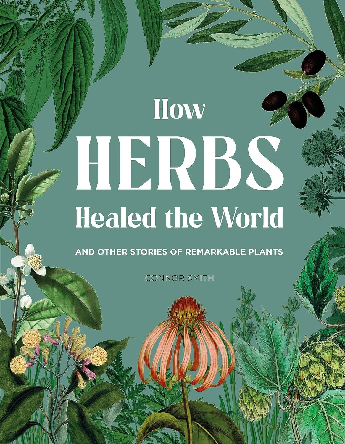 How Herbs Healed the World: And Other Stories of Remarkable Plants [hardcover] S