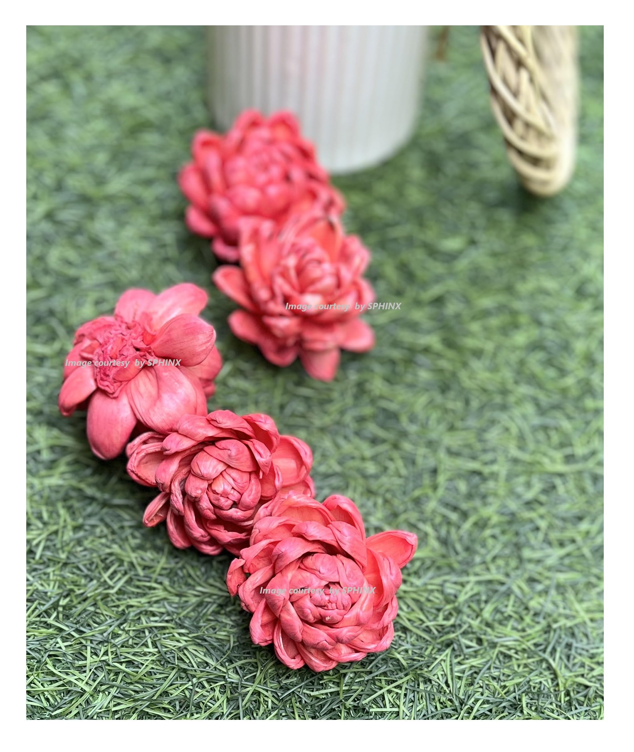 SPHINX Sola Bloomed Lotus Flowers for Decorations, Gift Packing, D-I-Y Art and Crafts, Garland Making Festive Decor Pooja Decor Table Decorations- (Blush Pink Approx 4 cms, 5 Pieces)