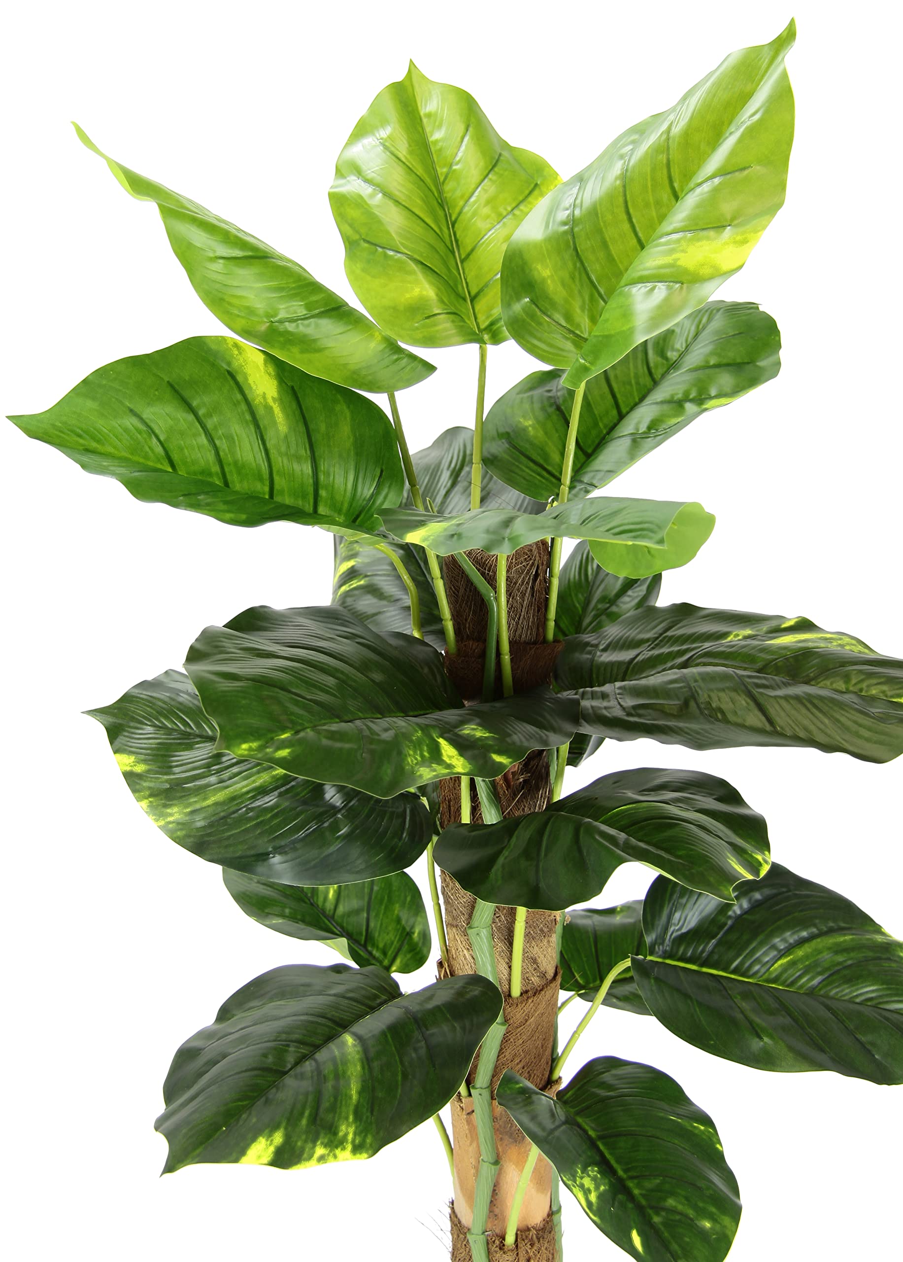 Pianta di pothos Artificiale, in Vaso, Artificiale, Grande