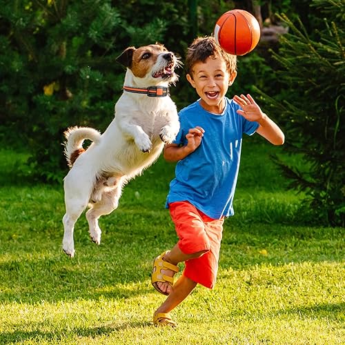 Miniatura 9 de Collar de entrenamiento para perros para 2 perros de alcance remoto de 3000 pies, collar de choque con vibración de pitido, luz flshlight y modo de