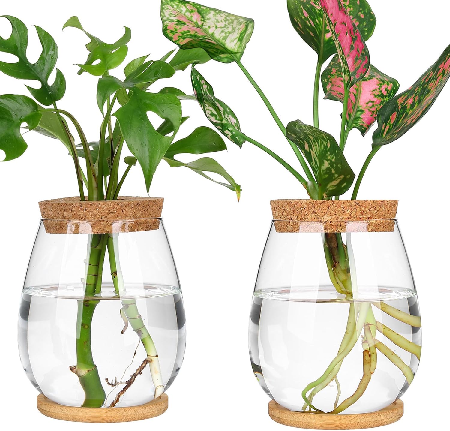 2 Pcs Propagation Vases, Tabletop Plant Terrarium for Propagating Hydroponic, Glass Terrarium Vase Jars, Home Kitchen Decorations and Gifts for Plant Lovers