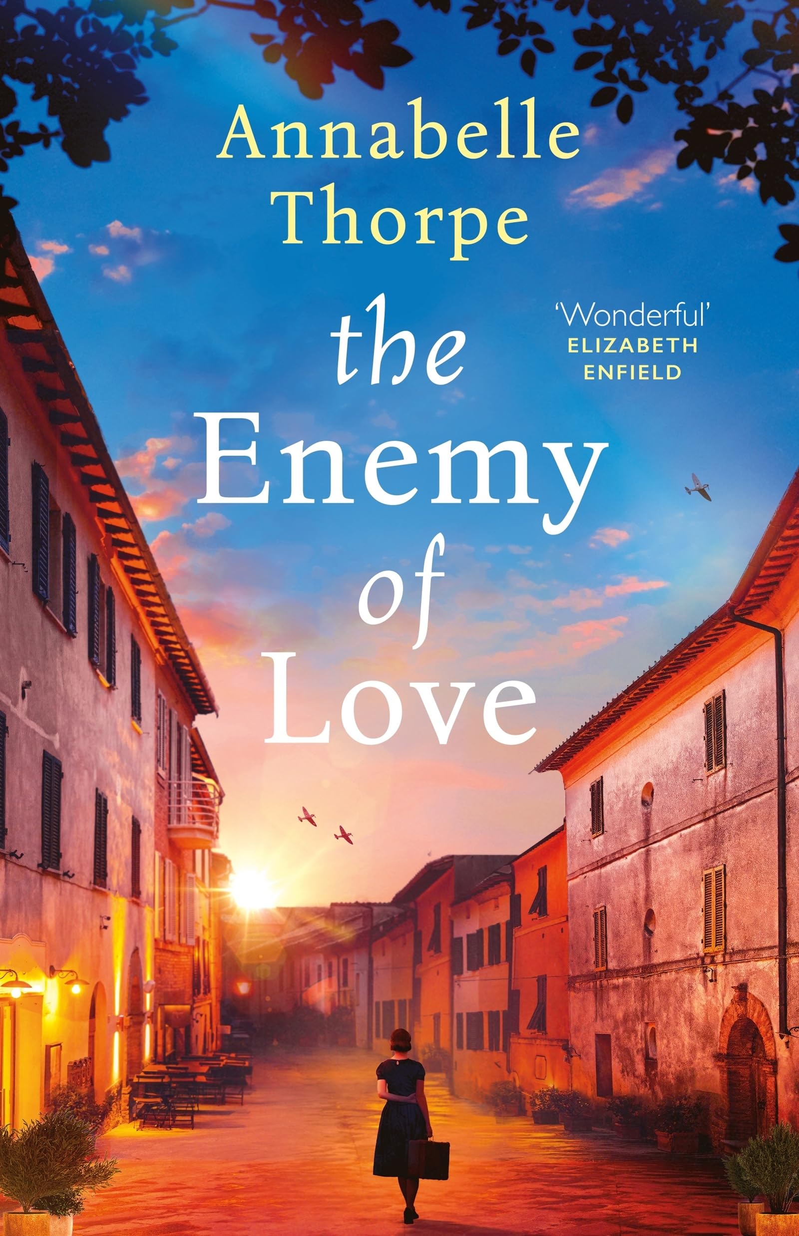 Buy Enemy of Love: The Long-Necked Lute of Ottoman Art Music: Previously published as The Enemy of Love (Aria Book) โ BookShops.in