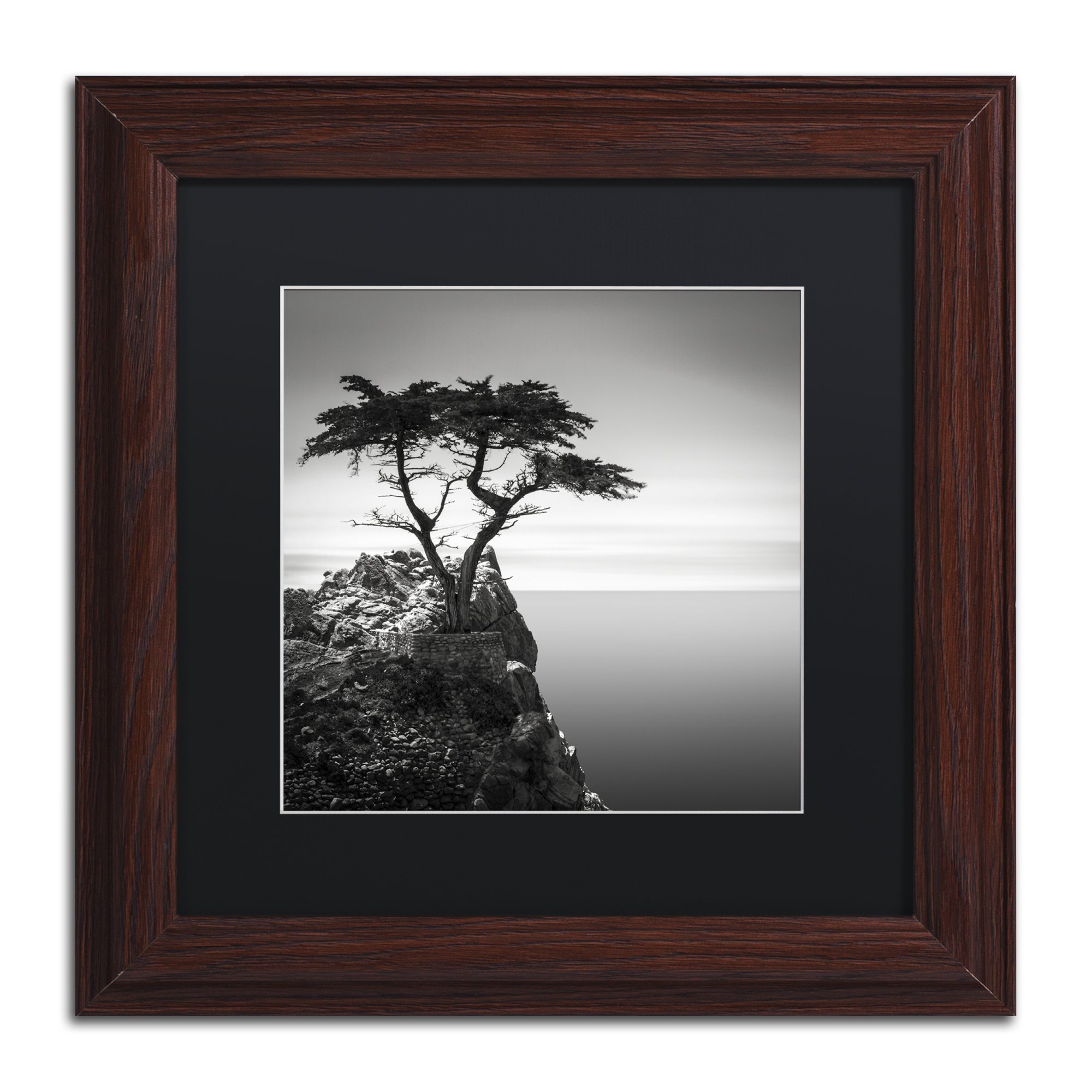 Framed Wall Art - Dave MacVicar The Lone Cypress Wall Decor with Matted Frame by Trademark Fine Art