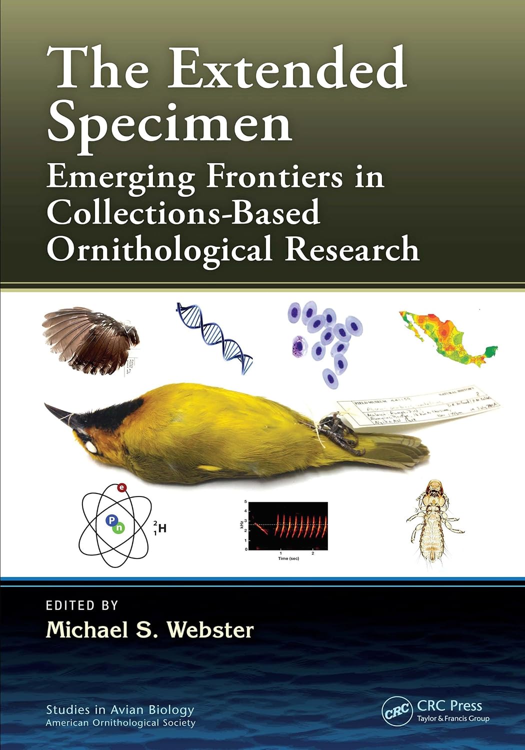 The Extended Specimen: Emerging Frontiers in Collections-Based Ornithological Research (Studies in Avian Biology Book 50)