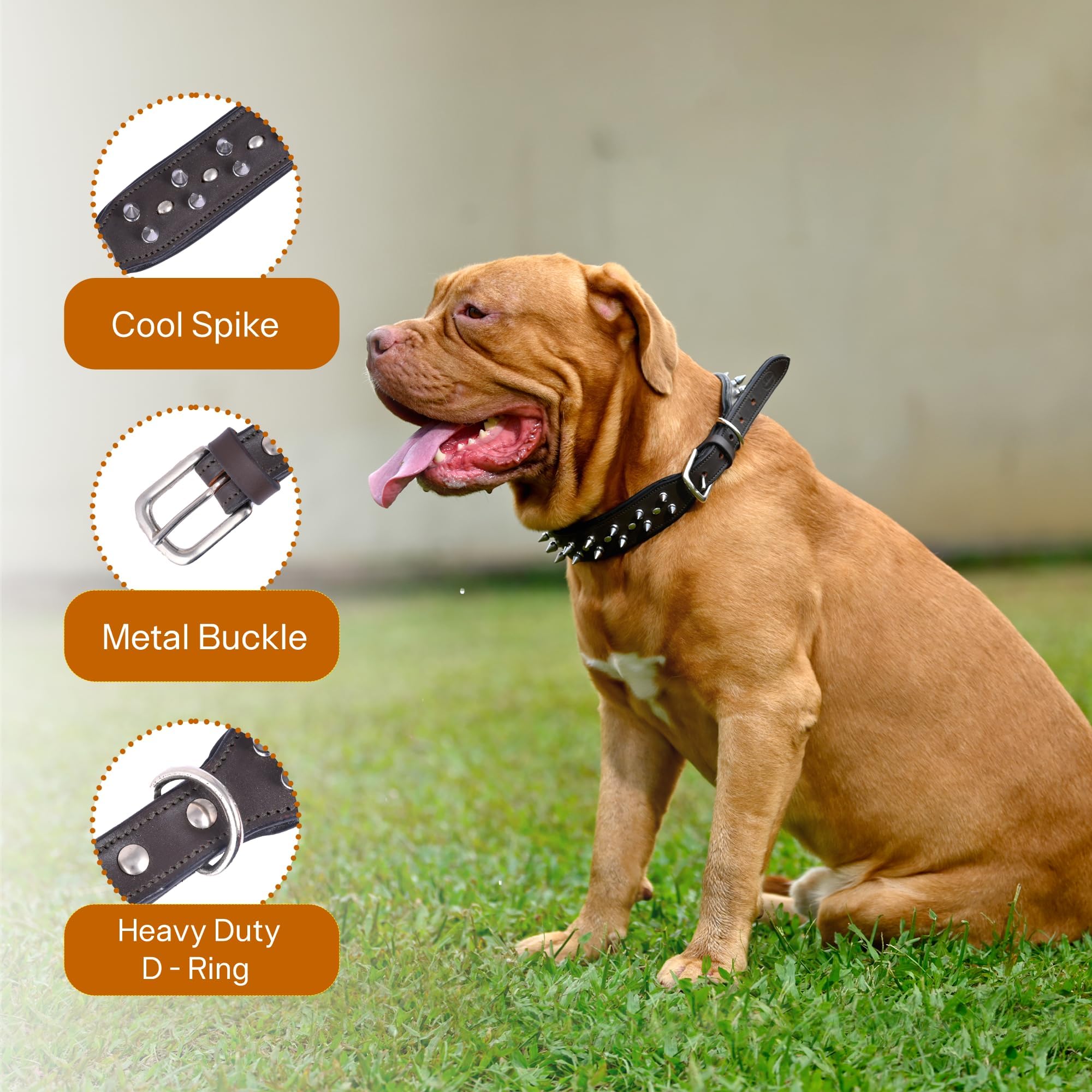 sparrow daughter Genuine Leather Spiked Studded Dog Collar | Adjustable and Stylish Neck Belt for All Breeds - Size :L,Dark Brown, 60 x 50 cm 1