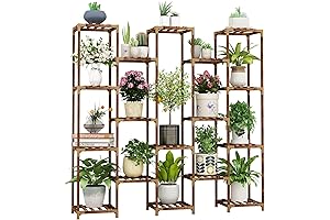 Homroll Plant Stand: Transform Your Home into a Botanical Paradise
