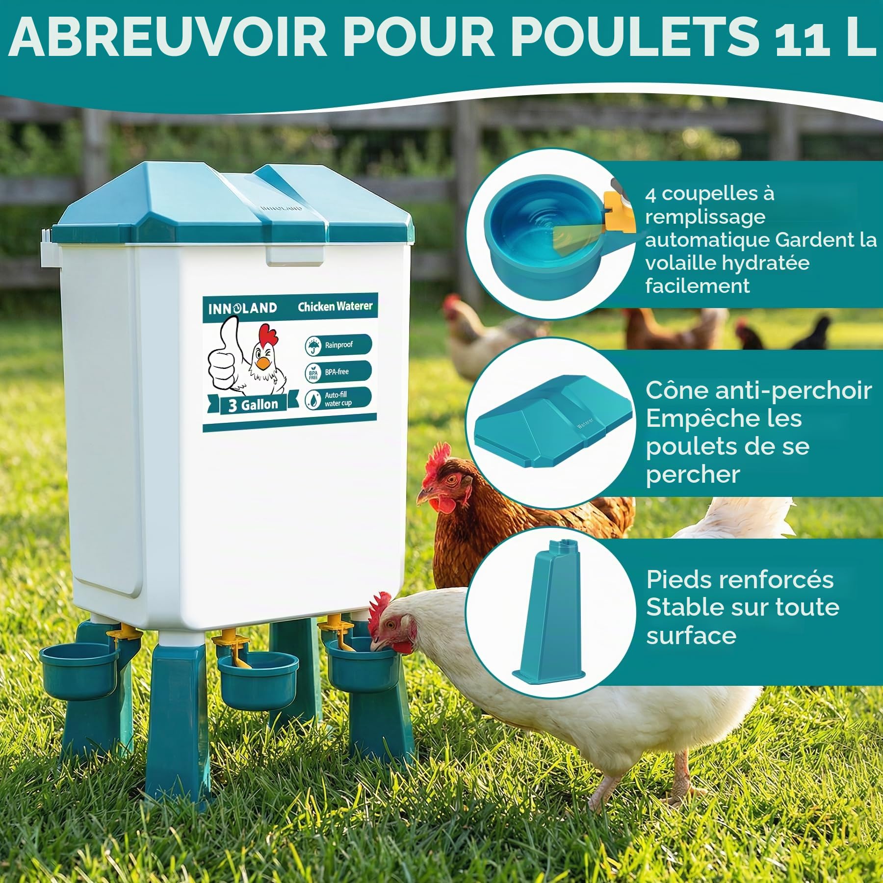INNOLAND Mangeoire Poules et Abreuvoir Poules Automatique – 12 Kg/11 L