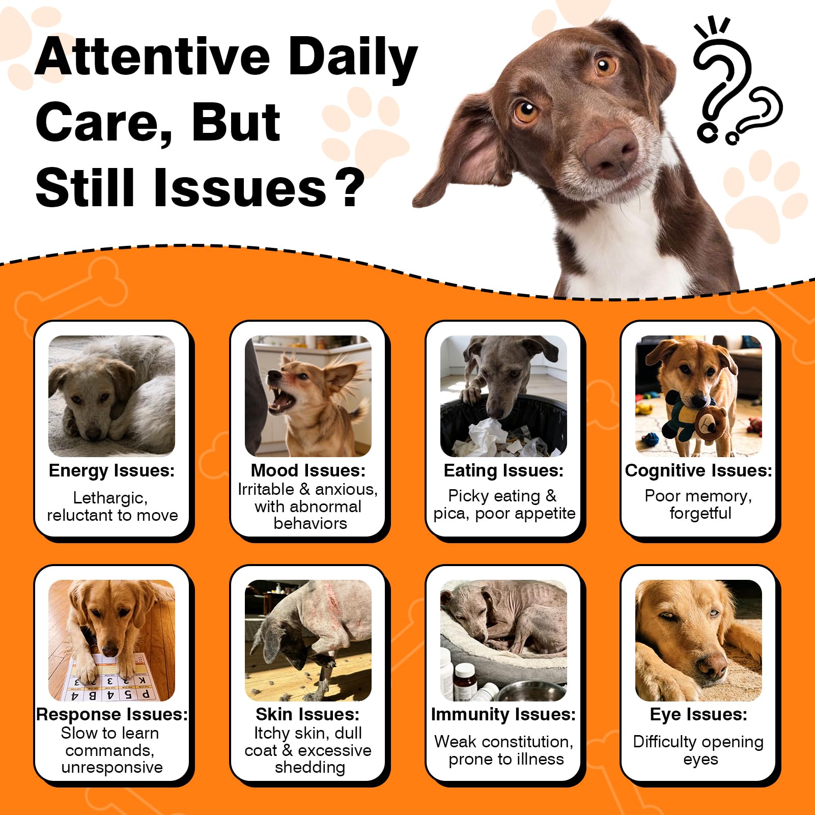 29-in-1 Advanced Cognition Dog Vitamins and Supplement with Melatonin Omega-3 L-Theanine 200 Ct Dog Multivitamins Chewable Supports Cognitive Function, Nervous System, Overall Health - Chicken Flavor - image 4