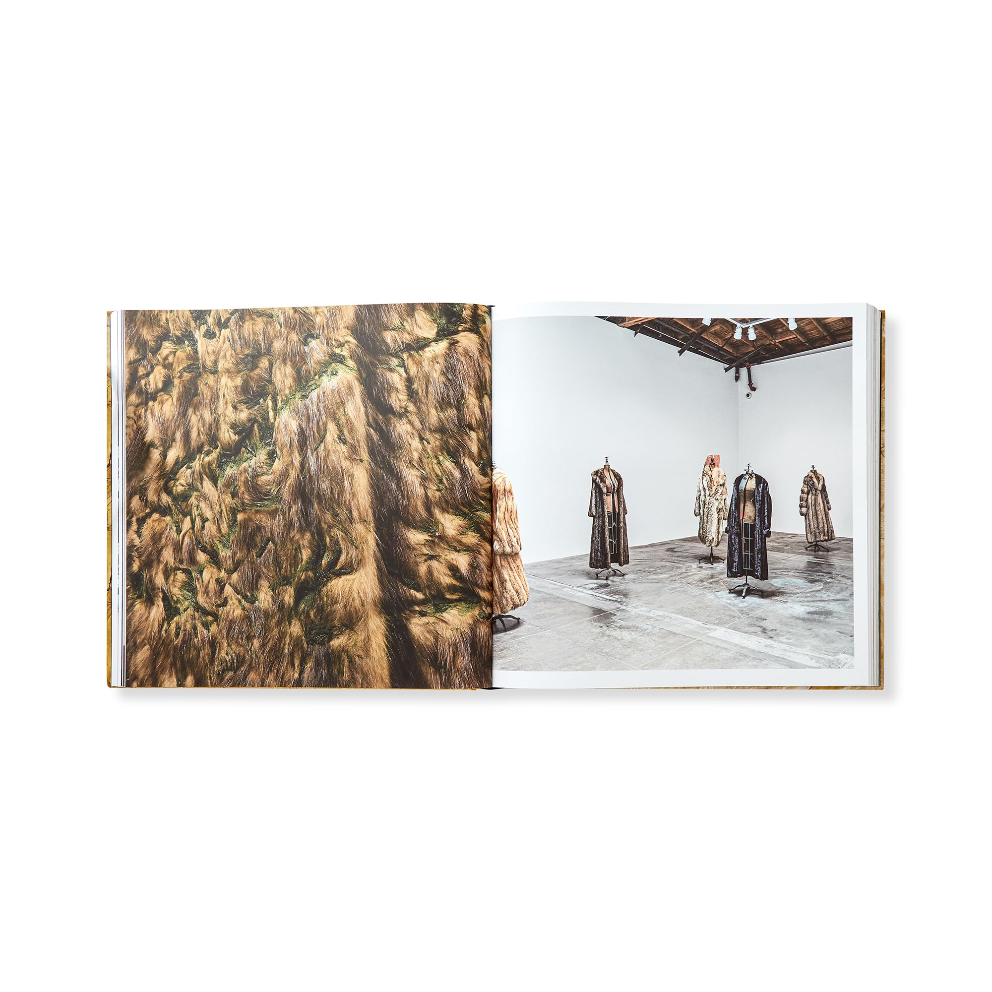 David Hammons
