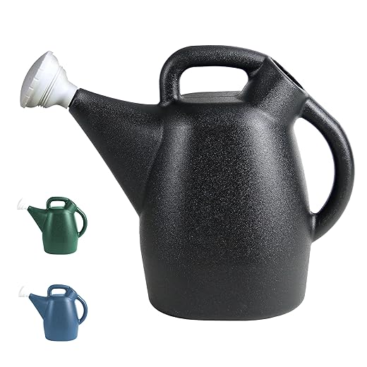 Chapin 47998 Watering Can, 2 Gallon, Indoor and Outdoor Plants, Lawn, Garden, Removable Nozzle, Drip-Free Sprinkler Head, Recycled Plastic, Black