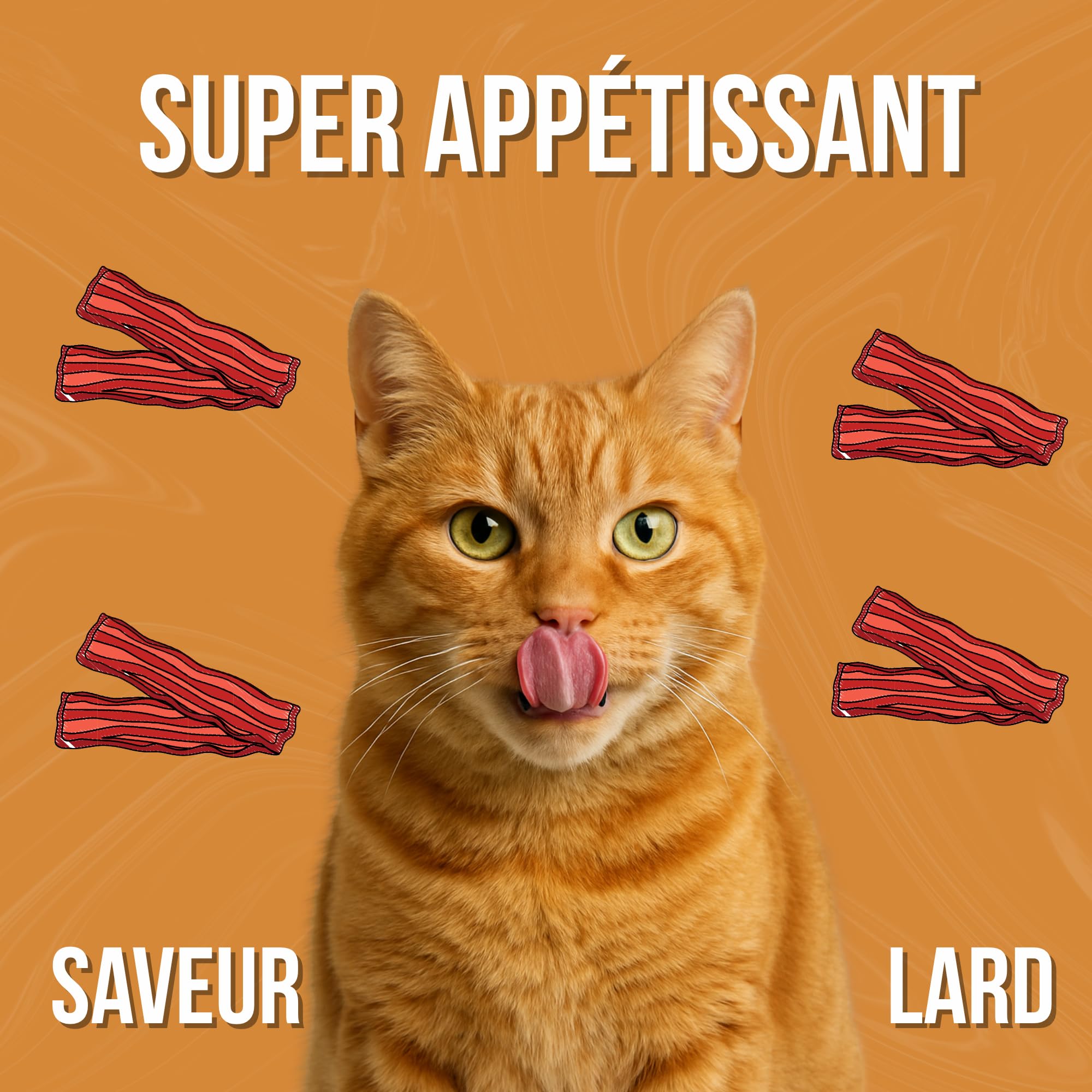 Renalcare - Complément rénal Liquide 250 ML Chats - Redonne énergie et appétit aux Chats souffrant de problèmes rénaux - Prévient l'anémie et favorise la santé rénale - sans phosphore ni Sodium-Bacon