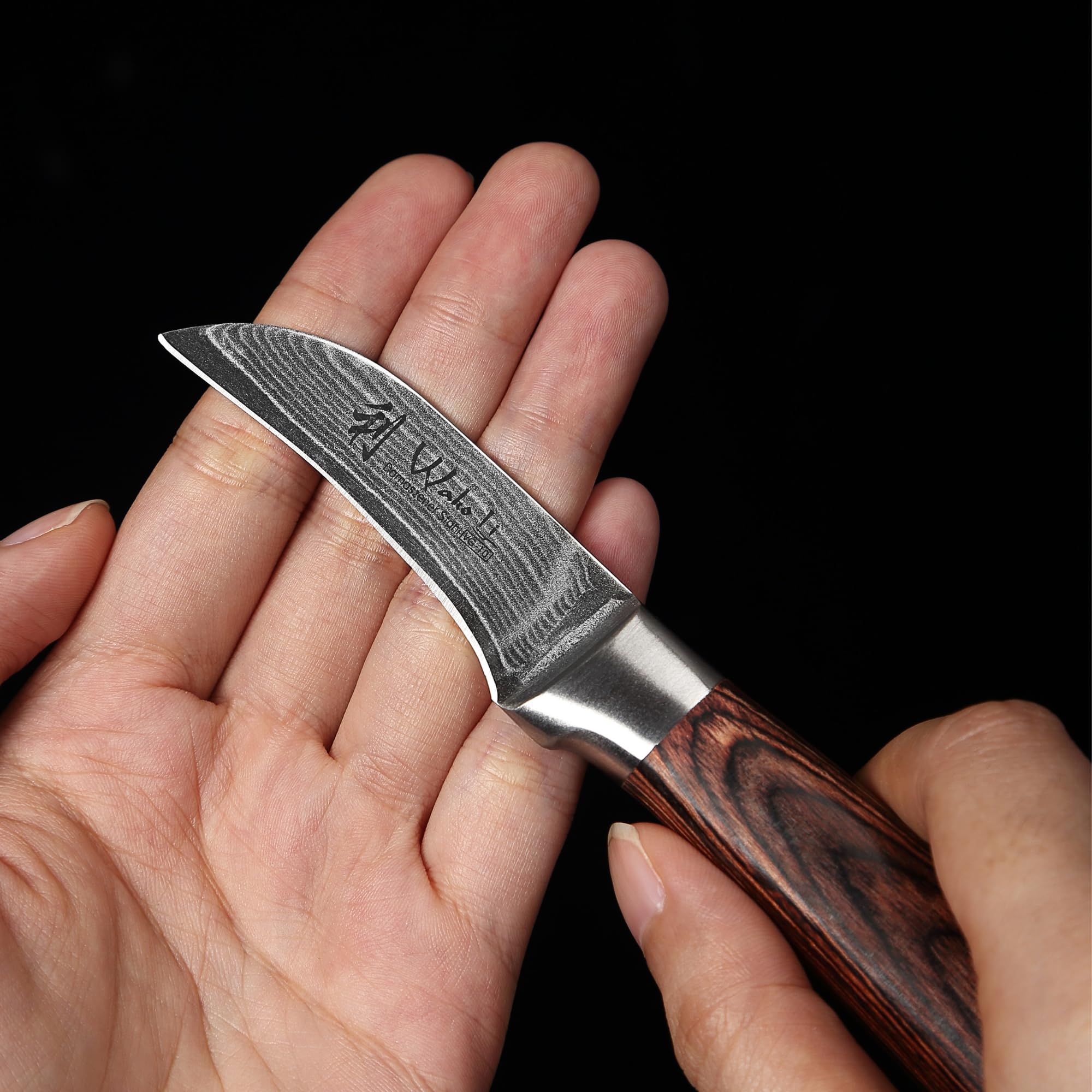 Wakoli Edib Couteau à éplucher en Damas I Lame tranchante de 6,2 cm en acier damassé à 67 couches avec noyau VG10 et manche en bois de pakka I Couteau de cuisine professionnel & couteau damassé