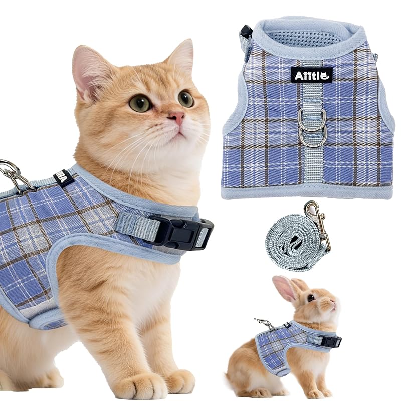 Peitoral ajustável para gatos com guia e malha macia Aiitle Blue L
