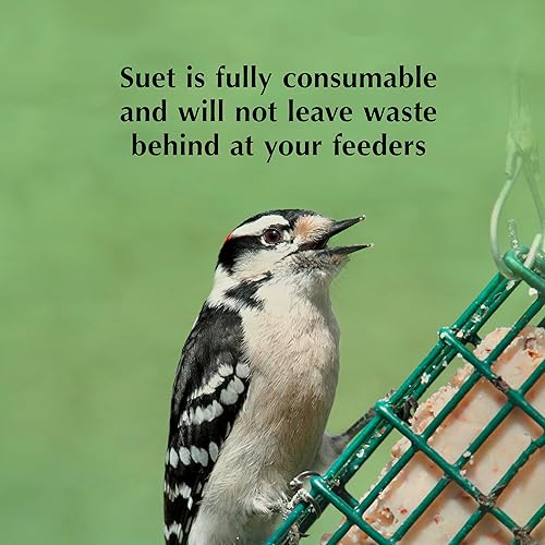 Miniatura 6 de C&S Nuggets de pimiento picante