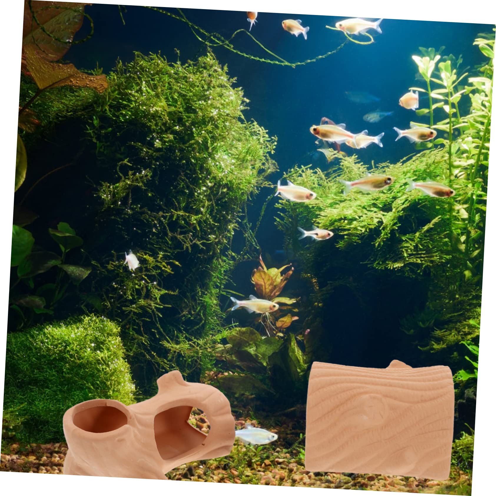 Toddmomy 6stücke Aquarium Versteck Höhle Keramische Dekoration Für Fische Und Garnelen Für Zucht Rückzugsort Im Wasserbecken Langlebig Und Attraktiv