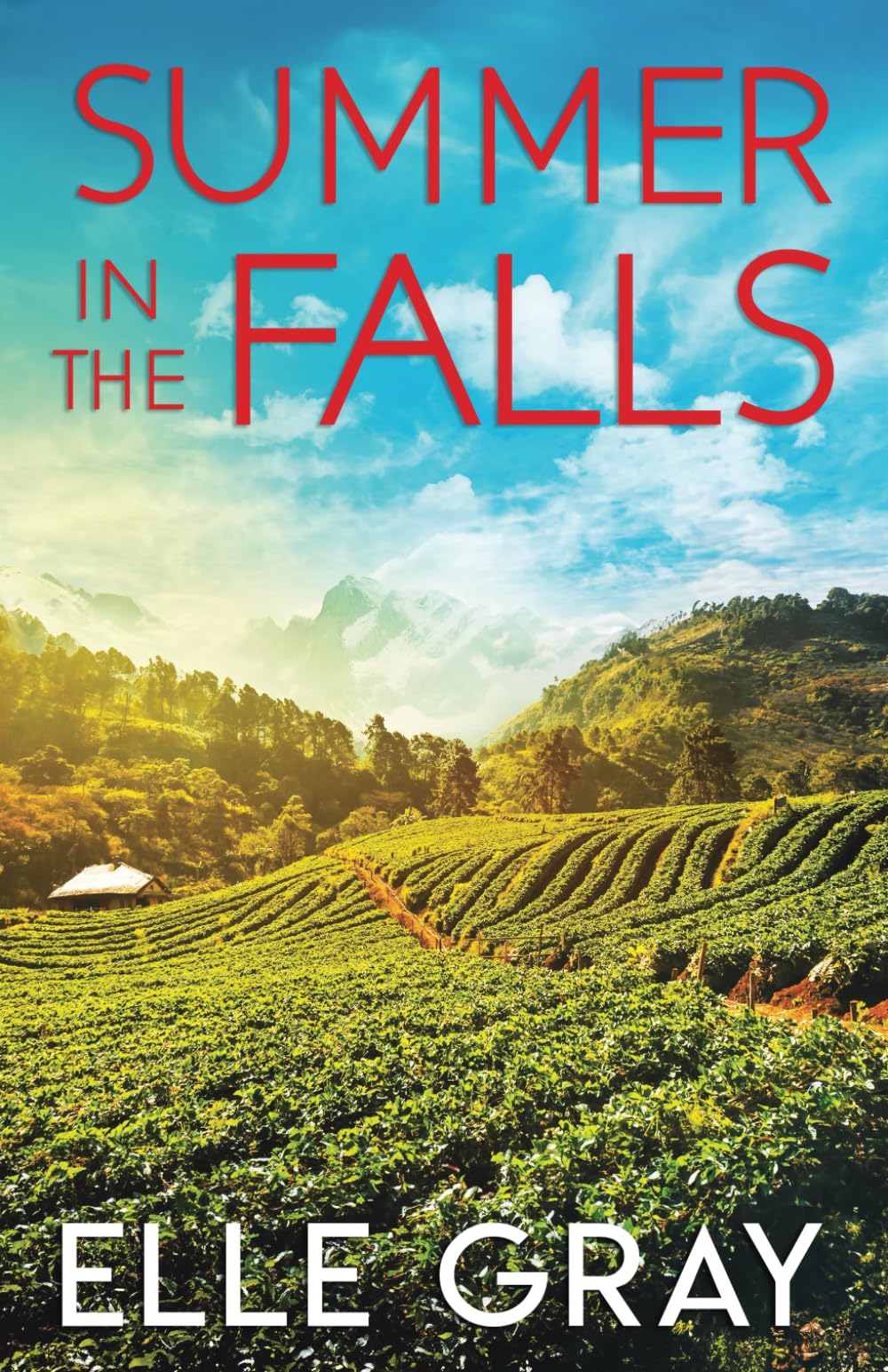 Summer in the Falls (A Sweetwater Falls Mystery)