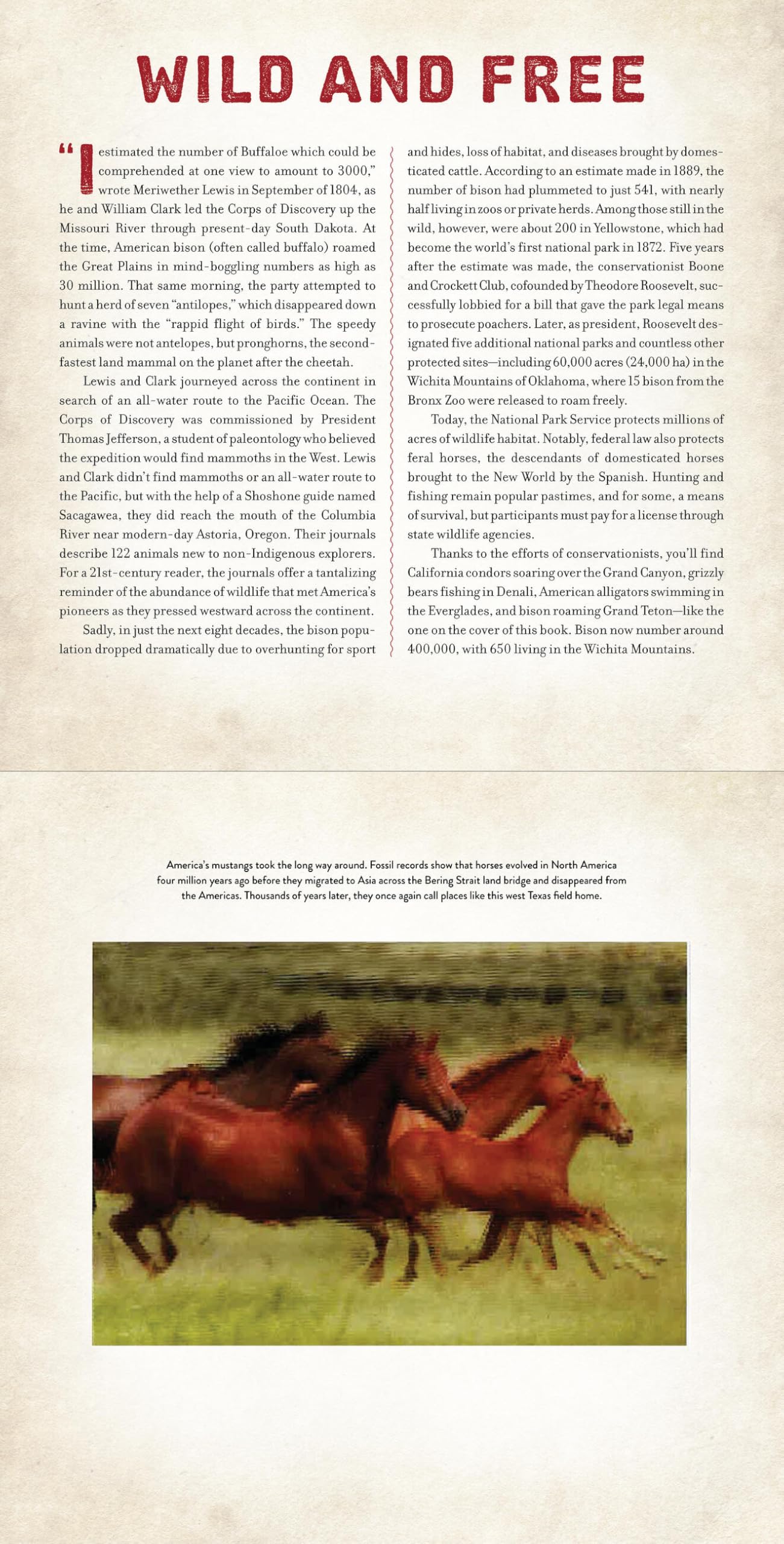 America: A Photicular Book