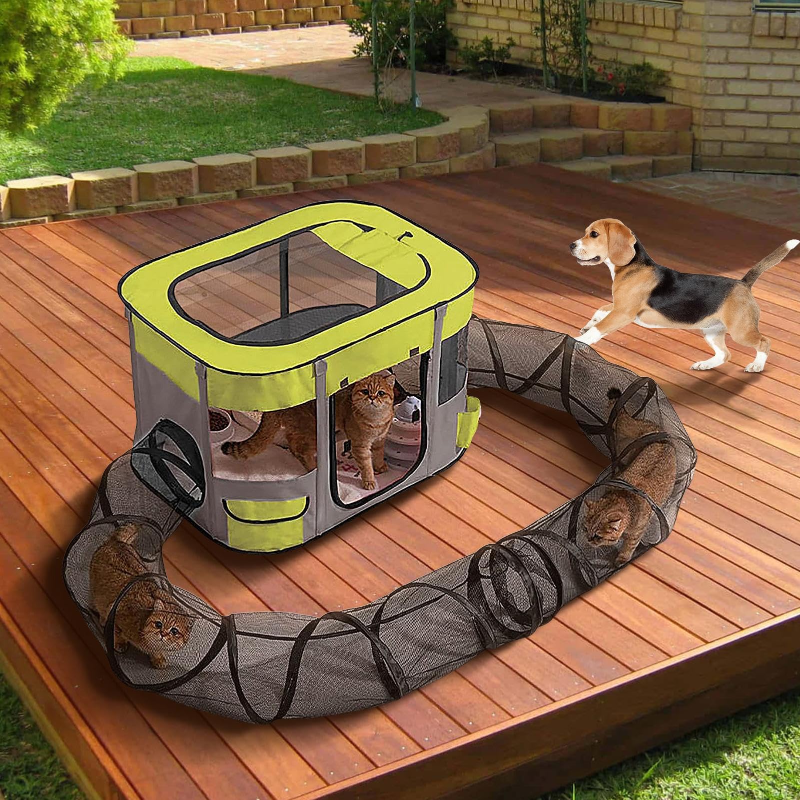 Freilaufgehege für Katzen mit Tunnel | Tunnel für den Außenbereich für Haustiere, einfache Montage, große Größe, Spielzeug für draußen für Katzen auf Terrasse, Rasen, Garten