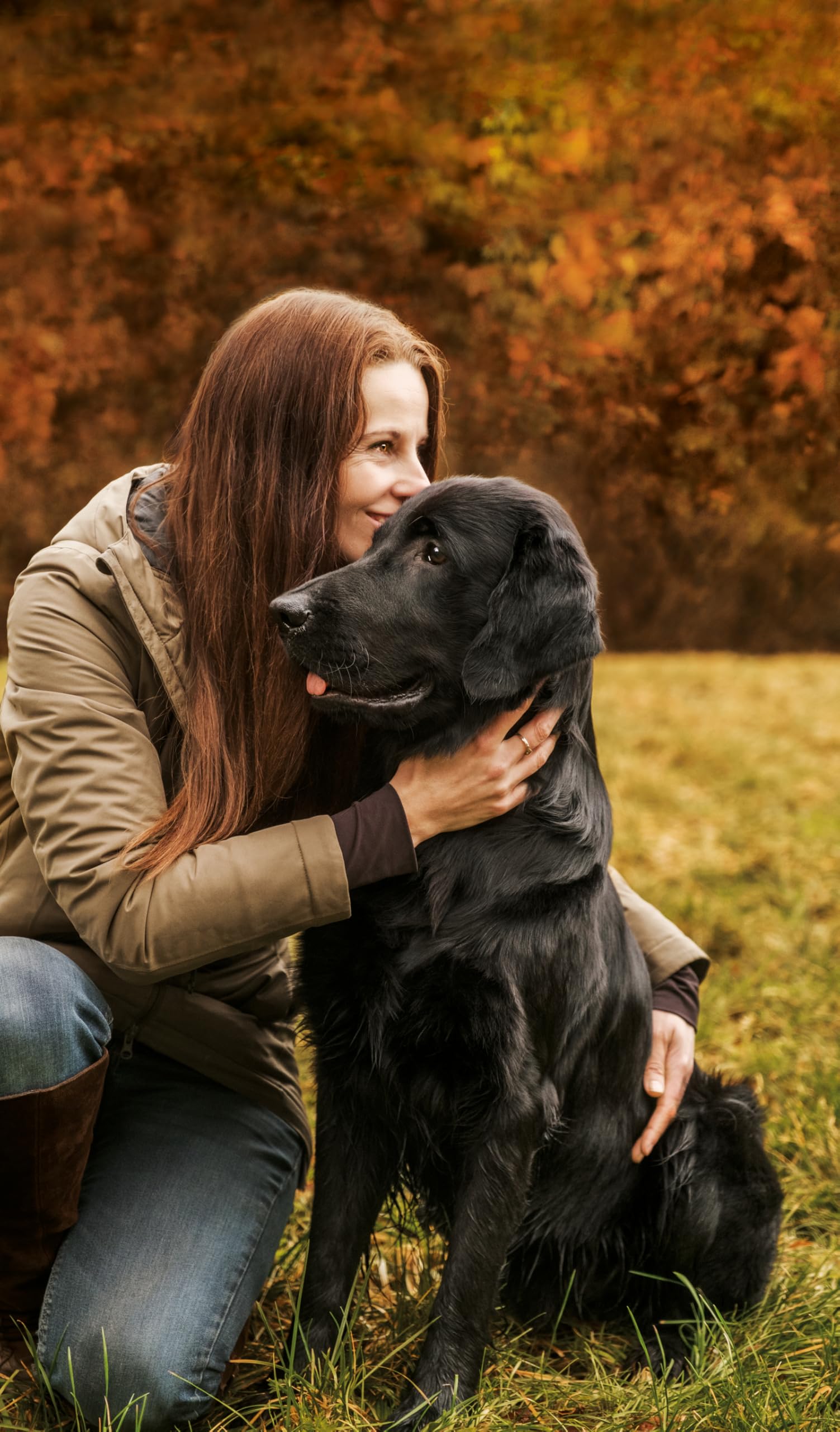 Fitmin for Life Mini karma dla małych psów, sucha karma dla psów, karma dla psów ze świeżym mięsem, 71% białka pochodzenia zwierzęcego, karma dla małych psów, 12 kg