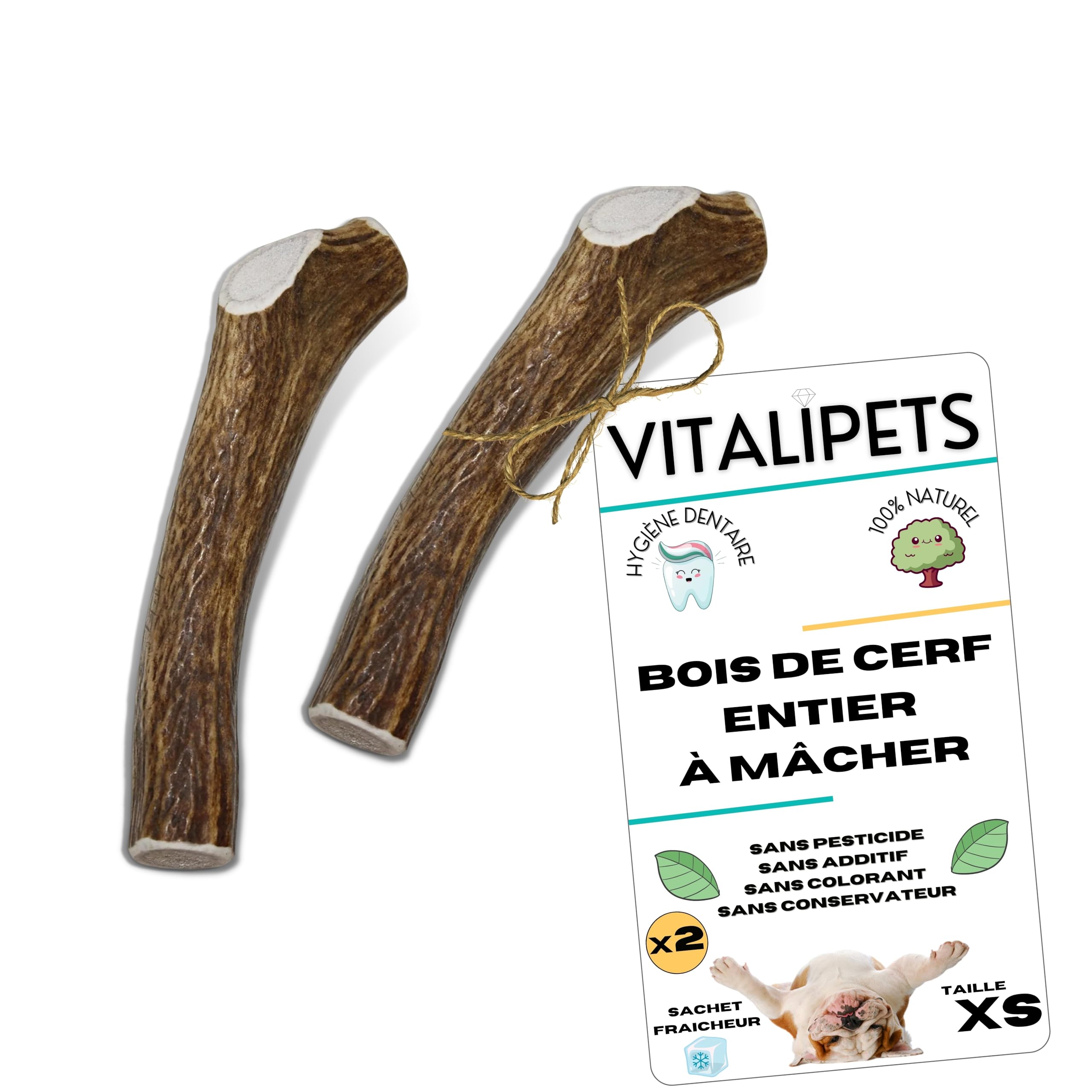 Bois de cerf pour chien XS, lot de 2