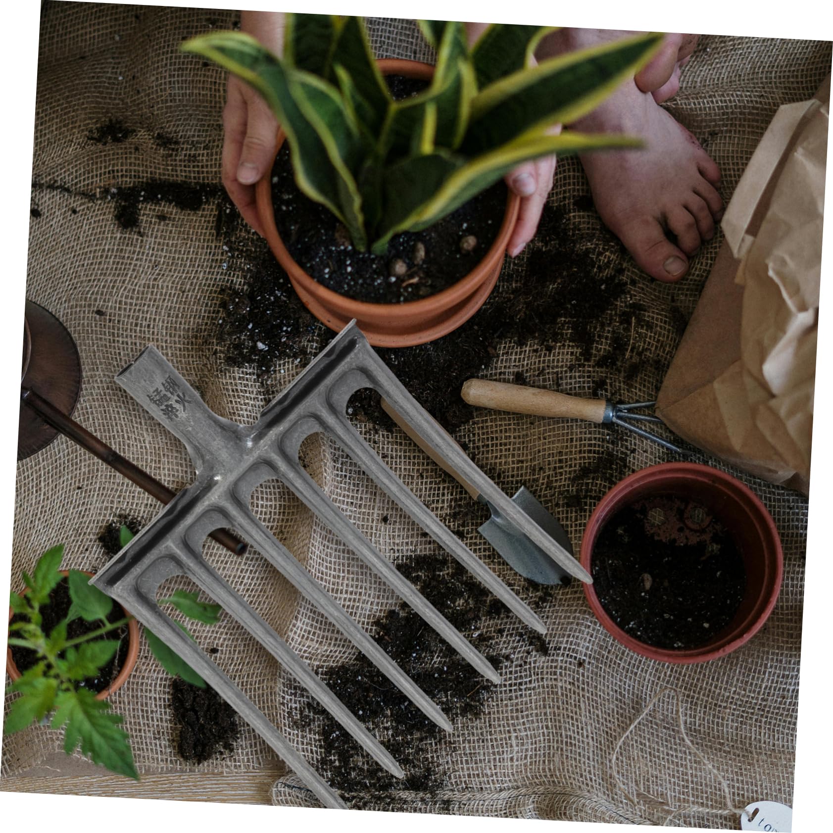 SUPVOX Attrezzo Per Giardino Testa in Attrezzo Agricolo Per Scavo e Lavorazione Del Terreno Per Arieggiare e Allentare Le Radici Facile Da Montare Su Manico
