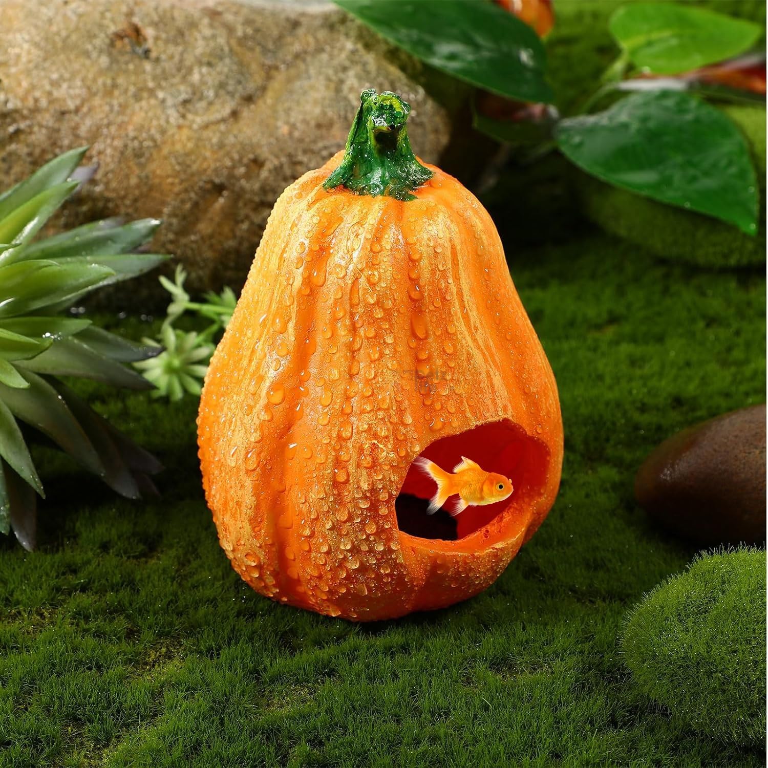 VAYINATO® Pumpkin Aquarium Decor Ornaments, Fish Hiding Breeding Cave | Reduce Stress and Encourage Spawning | Underwater Landscape Decorations | Resin by Petzlifeworld (B0D313RQ1X) Amazon Price History, Amazon Price Tracker