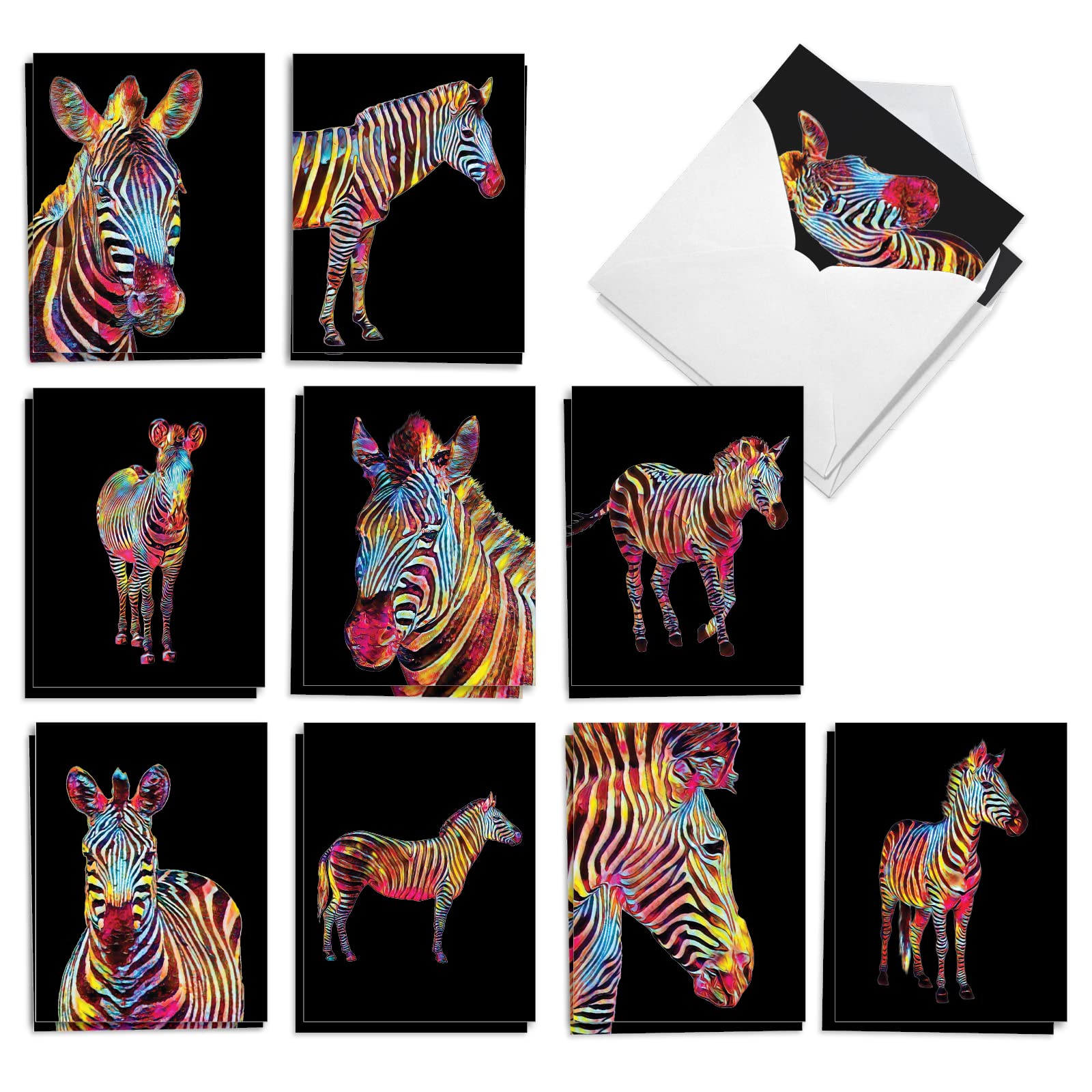 The Best Card Company - 20 Assorted Blank Note Cards Box Set 4 x 5.12 Inch with Envelopes (10 Designs, 2 Each) - Rainbow Zebras AM10327OCB-B2x10
