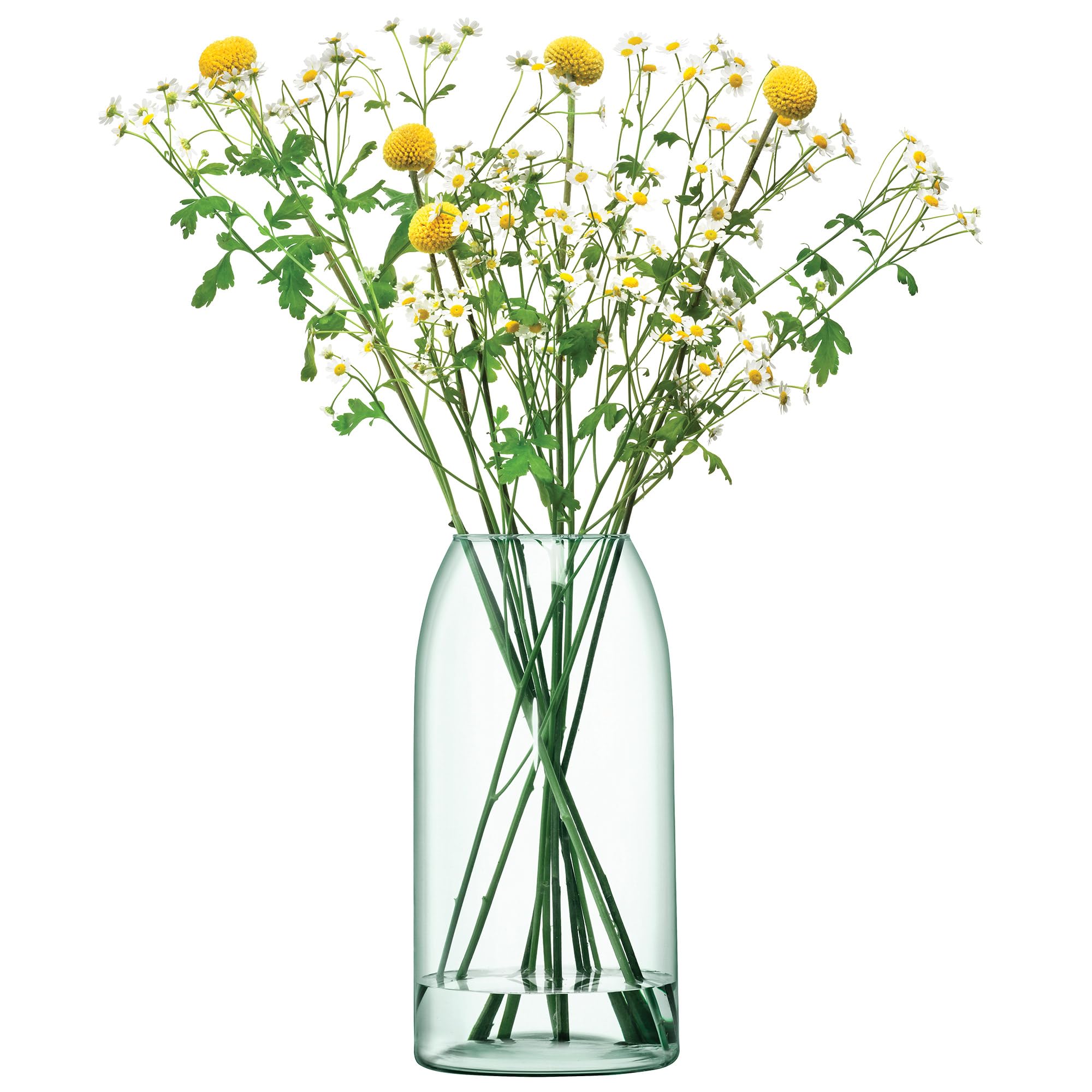 Amazon.co.jp: LSA (エルエスエー) Canopy Vase フラワーベース(花器
