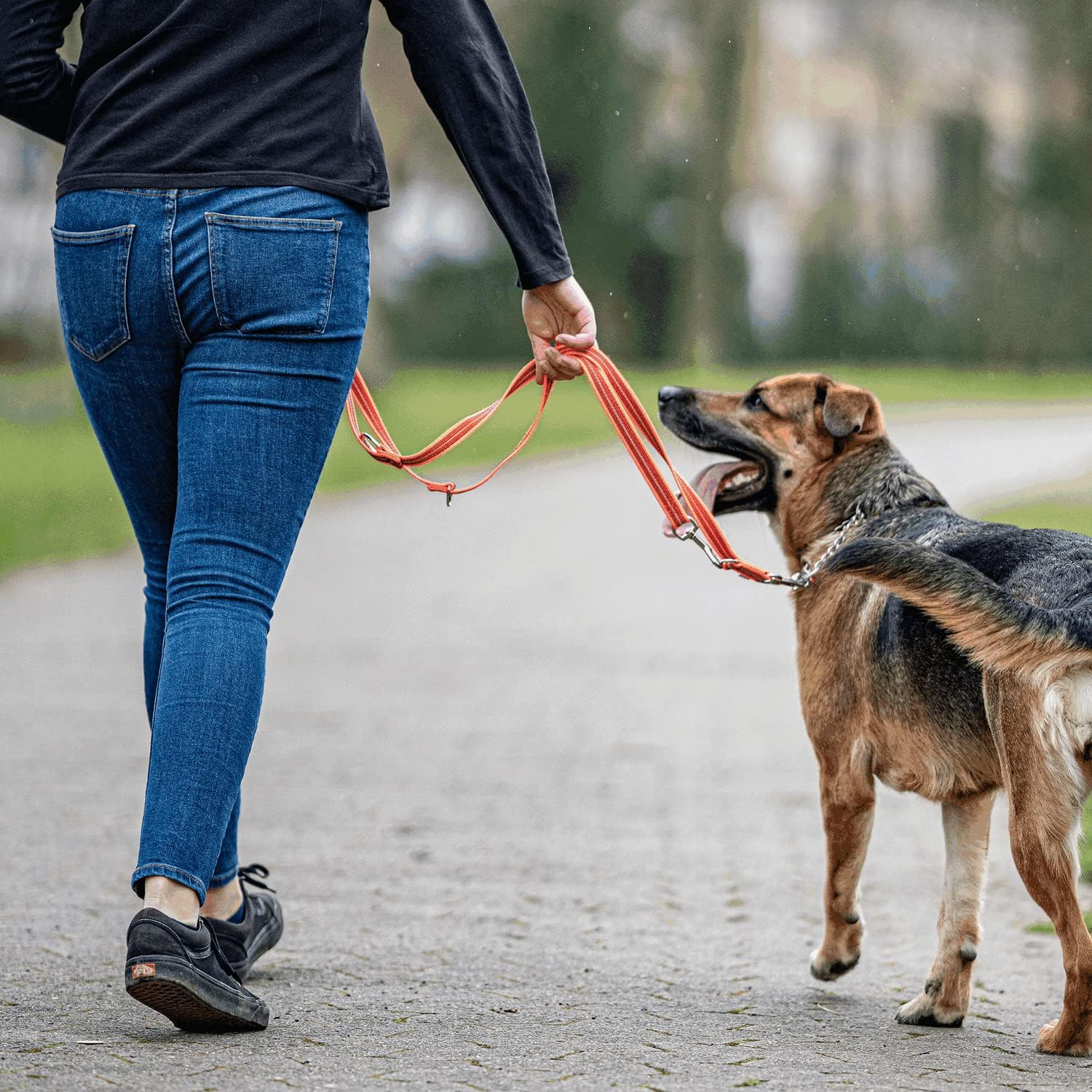 Herm Sprenger Adjustable Dog Training Leash - Secure, Non-Slip Rubberized Nylon Grip Hands Free Dog Leash - Durable, 3/4” Thick, Reflective (4FT - 7.5 FT Length) (Green)