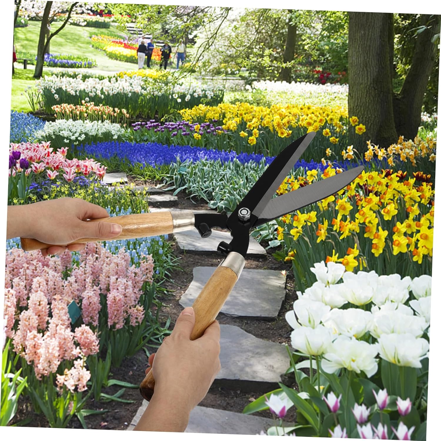 BESPORTBLE Wooden Handle Pruning Shears High Carbon Steel Lawn Scissors for Gardening Ergonomic Non-slip Grip for Easy Trimming of Branches and Hedges