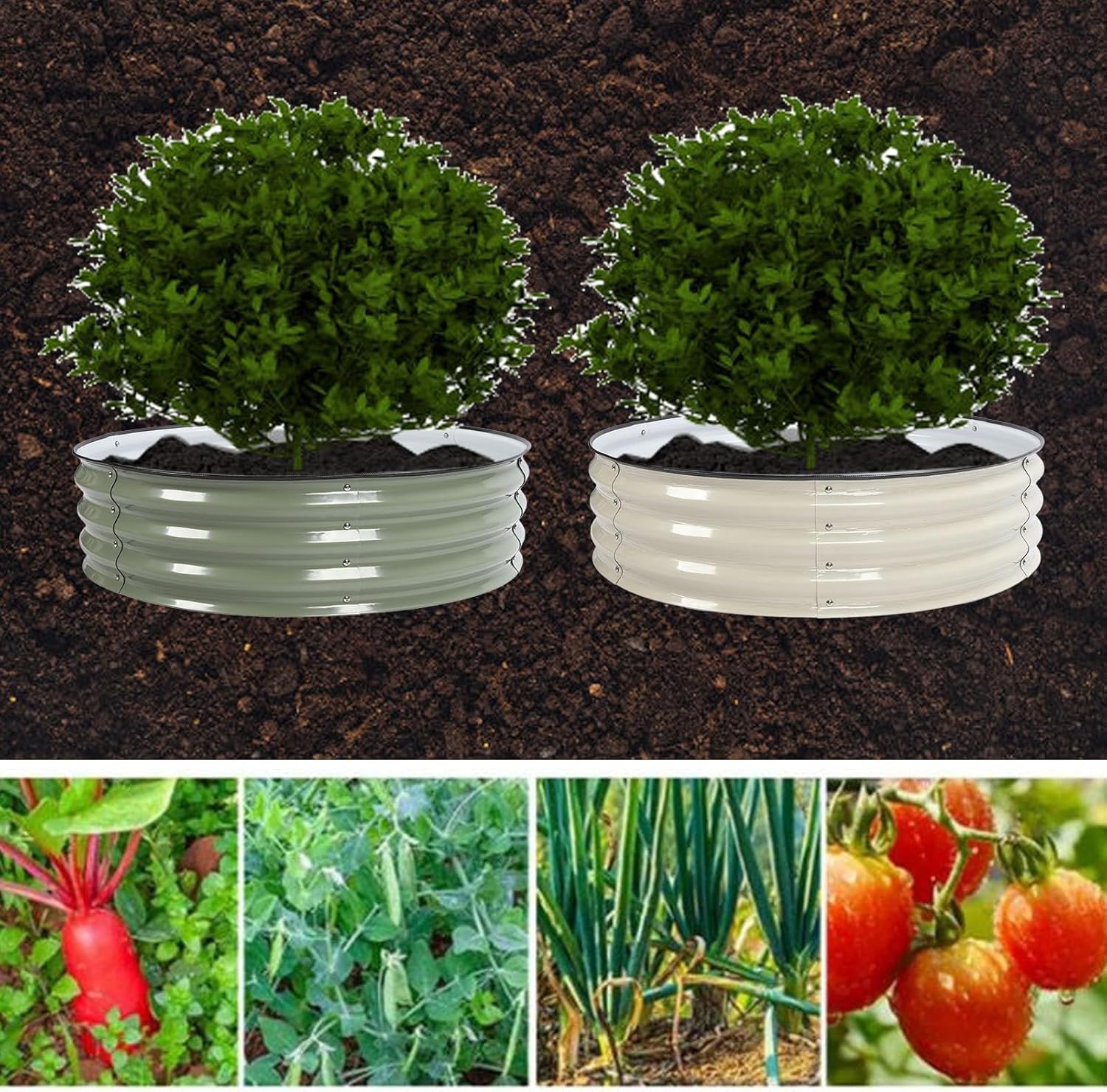 Sturdy Raised Garden Bed Kit, 304 Stainless Steel Planter for Vegetables and Flowers, Easy Installation, Open Base Design, Safe for Food Growth, Ideal for Outdoor Use (Ivory White)