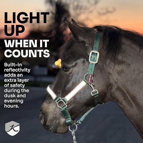Miniatura 5 de Kensington Premium Nylon Halter Tamaño: XL-Lrg. Color del caballo: 2019 - Imperial Jade