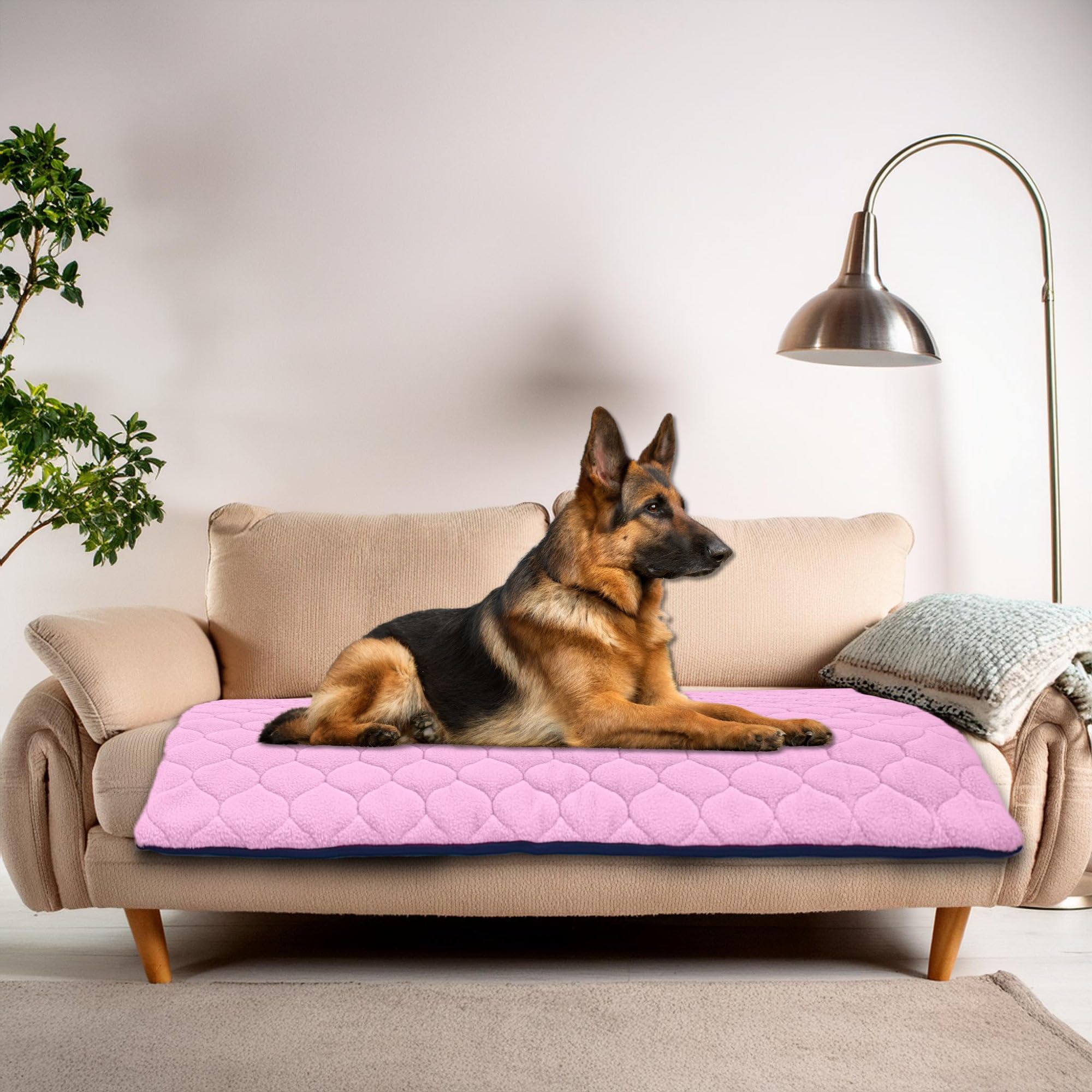 Tappetino impermeabile per cani - Facile da lavare e trasportare | 105 cm x 105 cm - Blu - Comodo - Lavabile in lavatrice - Protegge tutte le superfici - Adatto ai gatti
