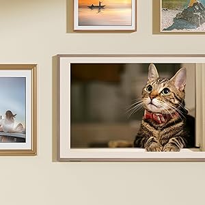 Hisense 55-Inch Class QLED 4K S7N CanvasTV Series Dolby Vision HDR Google Smart TV (55S7N) - 144Hz, Art Mode, Anti-Glare Panel, Hi-Matte Display, Frame & UltraSlim Wall Mount Included