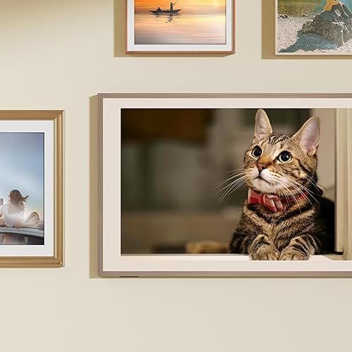 Miniatura 19 de Hisense Serie de TV Class QLED 4K S7N de 55 pulgadas Dolby Vision HDR Google Smart TV (55S7N) - 144Hz, modo artístico, panel antirreflejo, pantalla