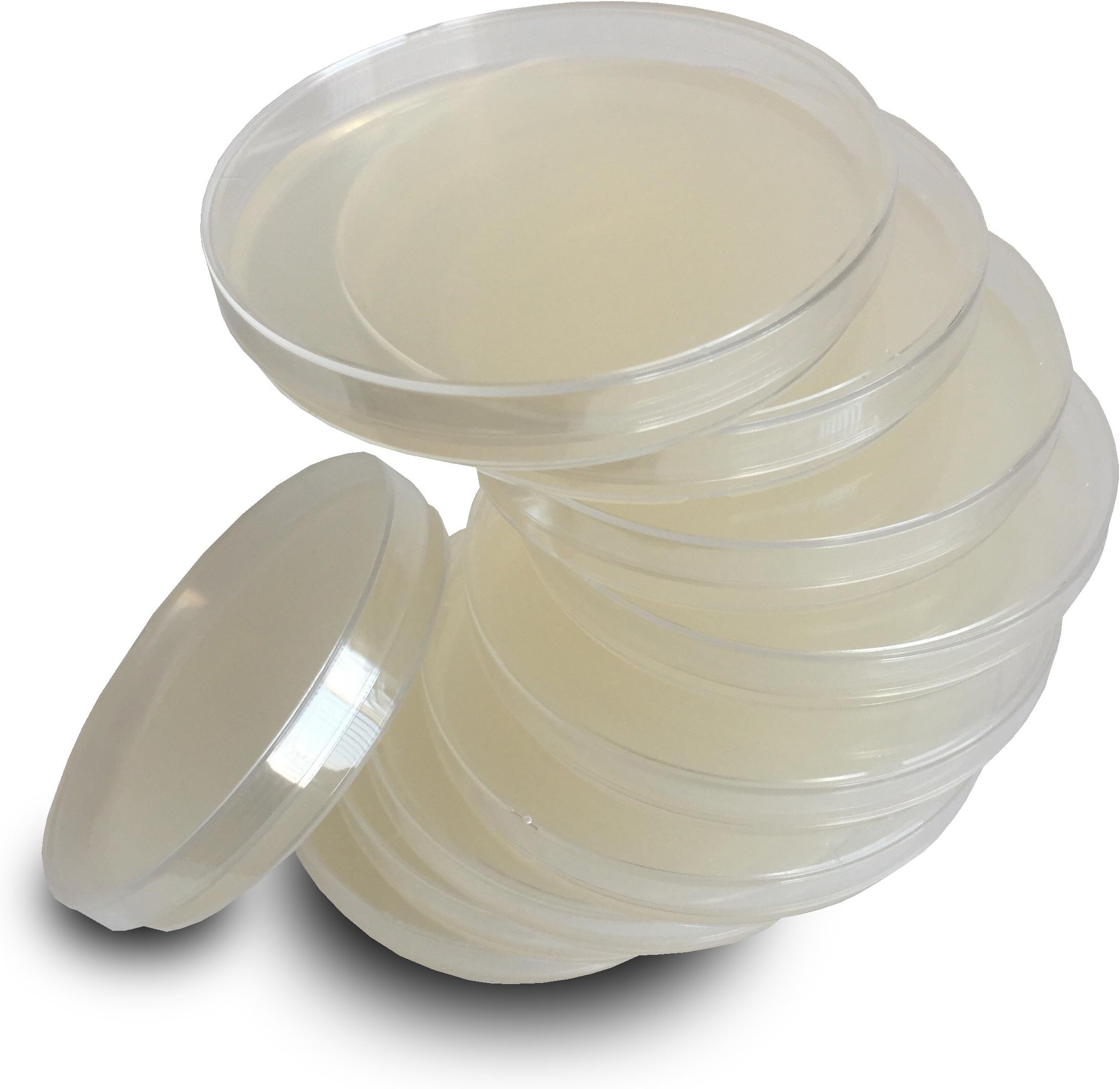 ES EVVIVA SCIENCES Nutrient Agar Plates by - Swabs Not Included - Prepoured Nutrient Agar Petri Dishes - Excellent Growth and Performance - A Great Kit for Fair Projects