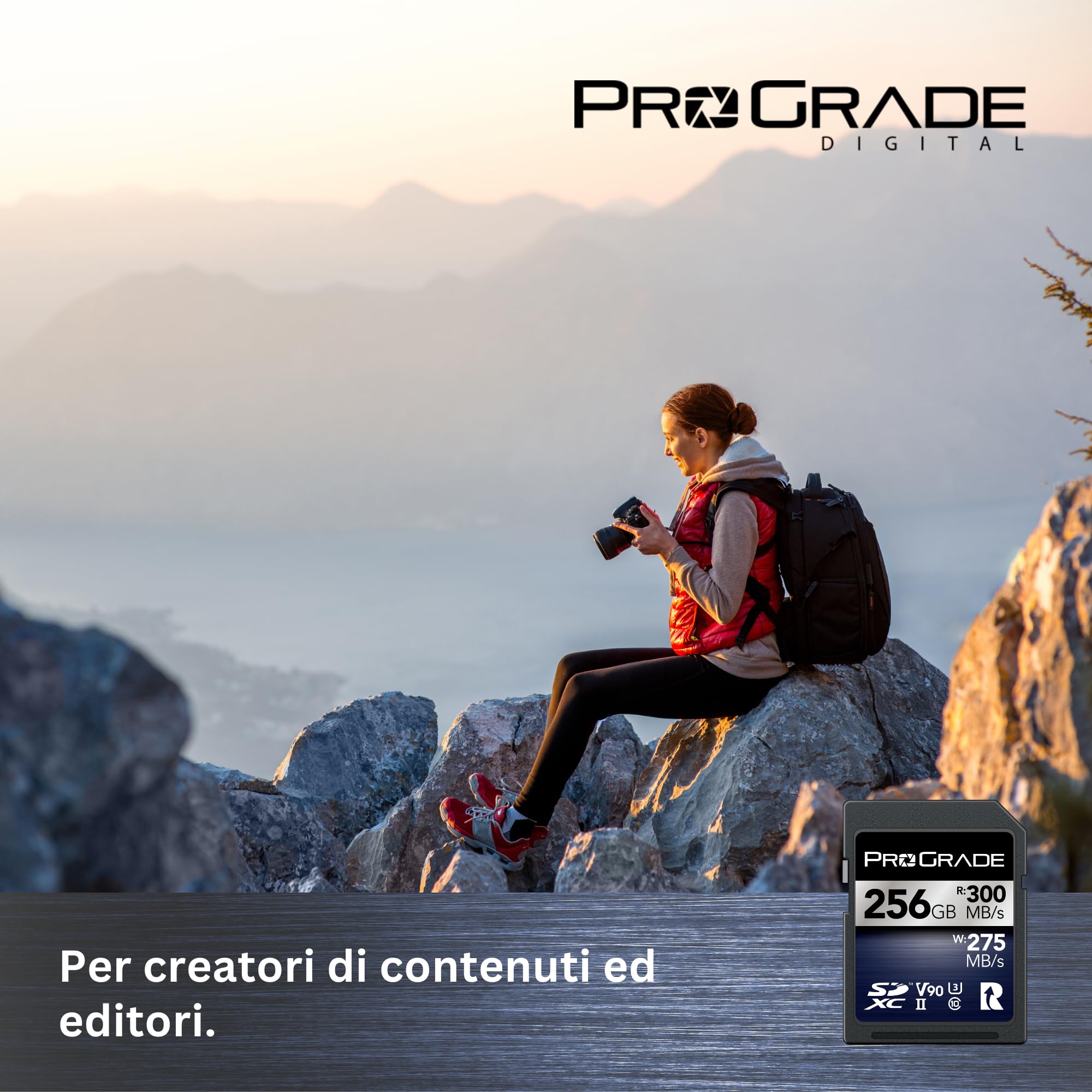 Scheda di Memoria ProGrade Digital SDCX UHS-II V90 Iridium (256GB)