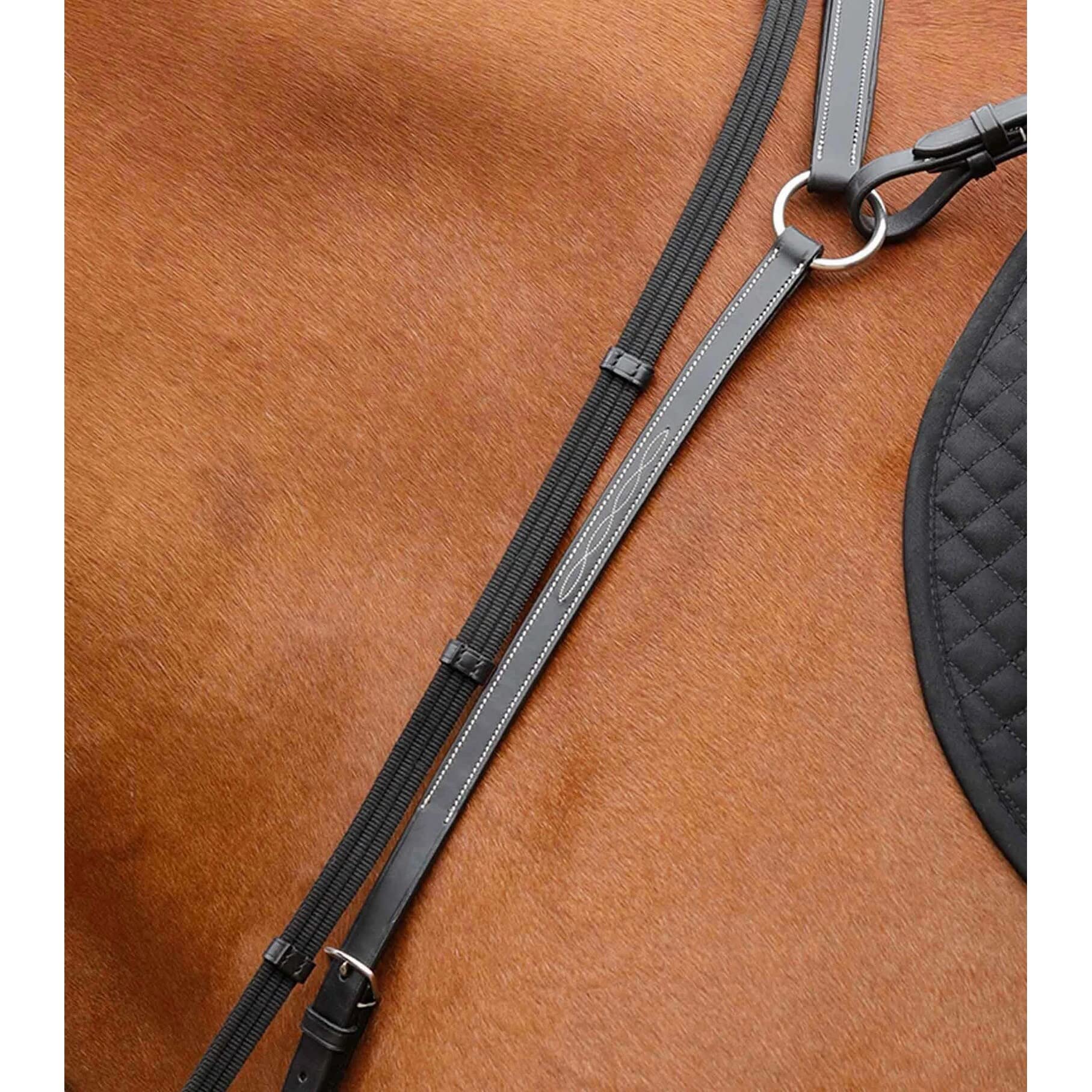 Premier Equine Collare da Caccia per Cavalli Norbello
